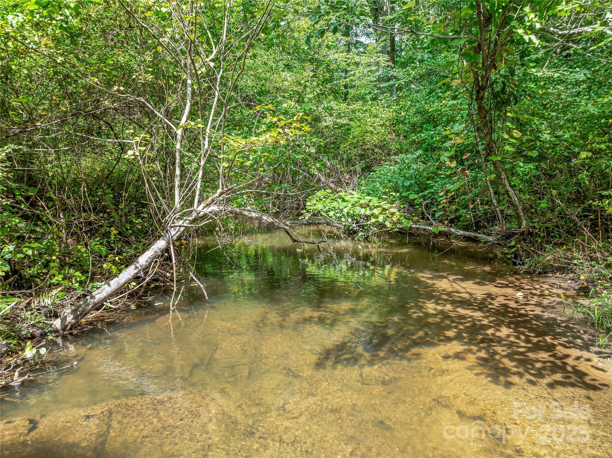 644 Walnut Valley Parkway — Arden