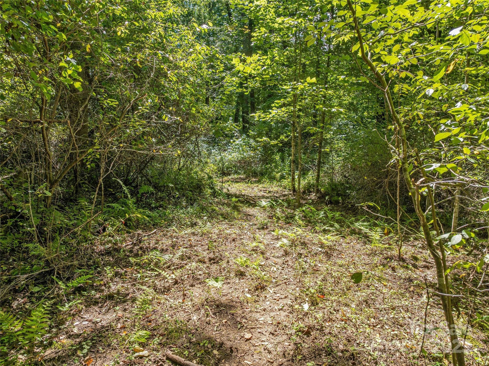 644 Walnut Valley Parkway — Arden