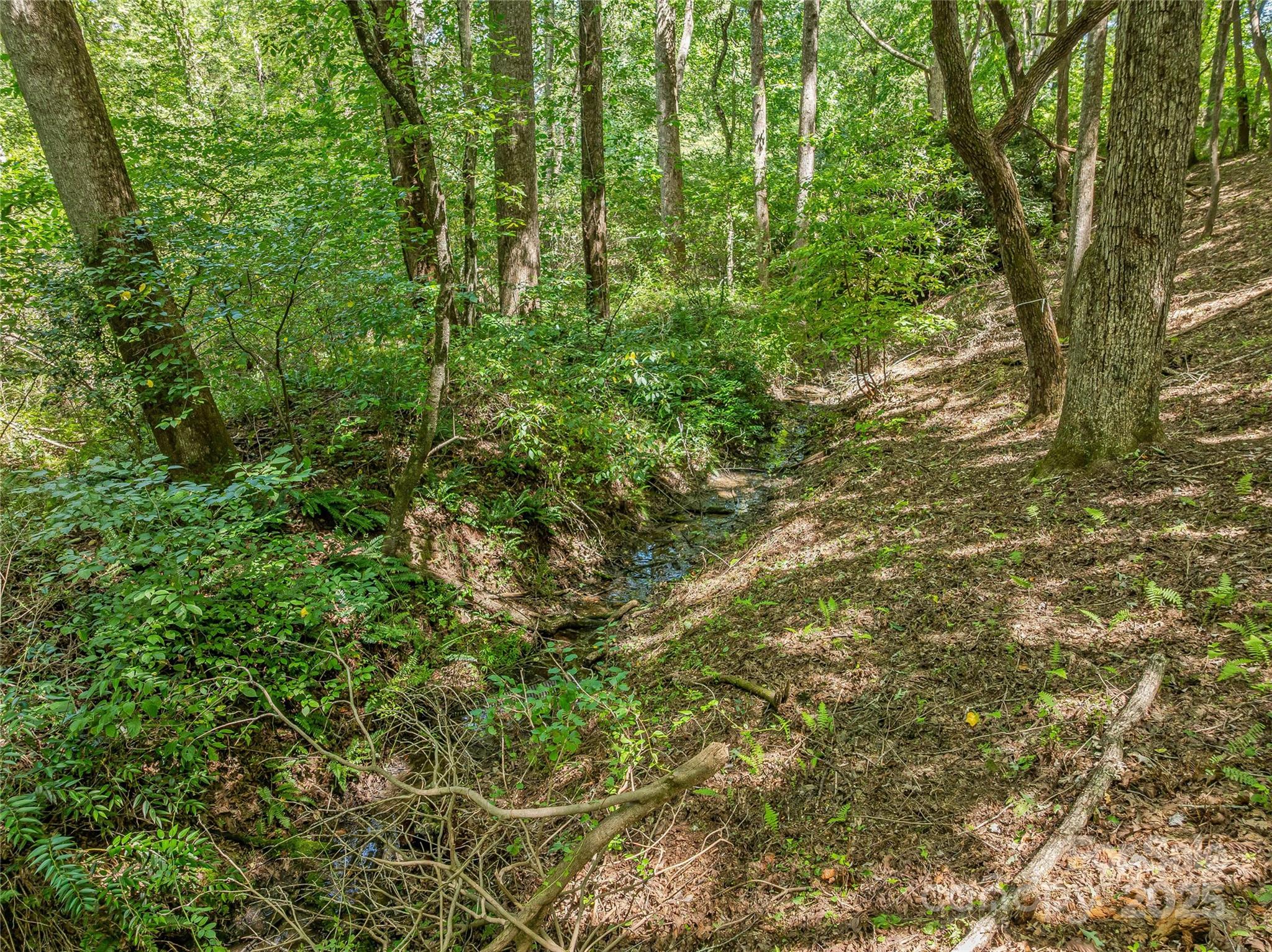 644 Walnut Valley Parkway — Arden