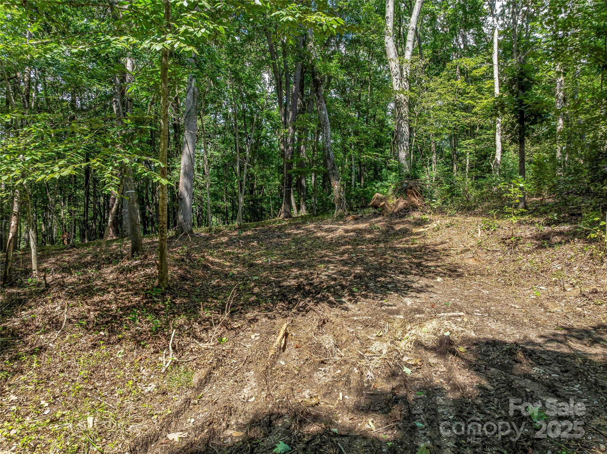 644 Walnut Valley Parkway — Arden