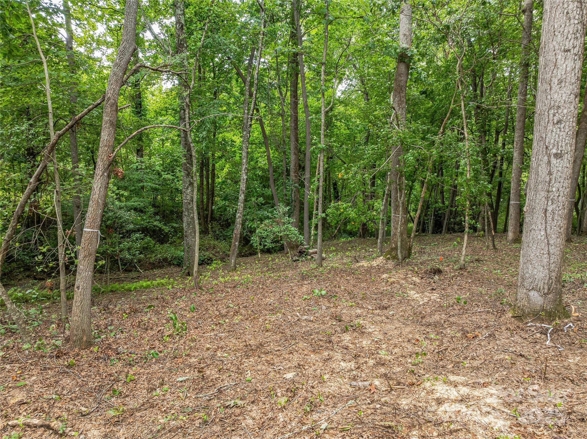 644 Walnut Valley Parkway — Arden