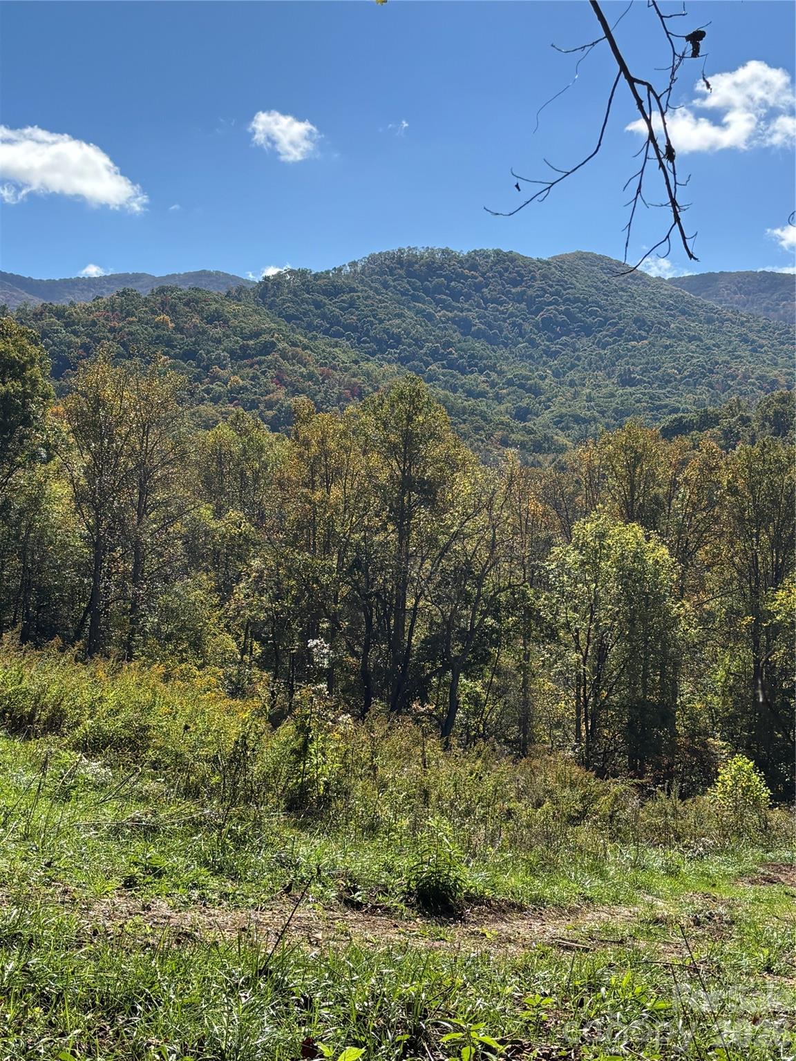 000 Cook Cove Road #2 — Weaverville