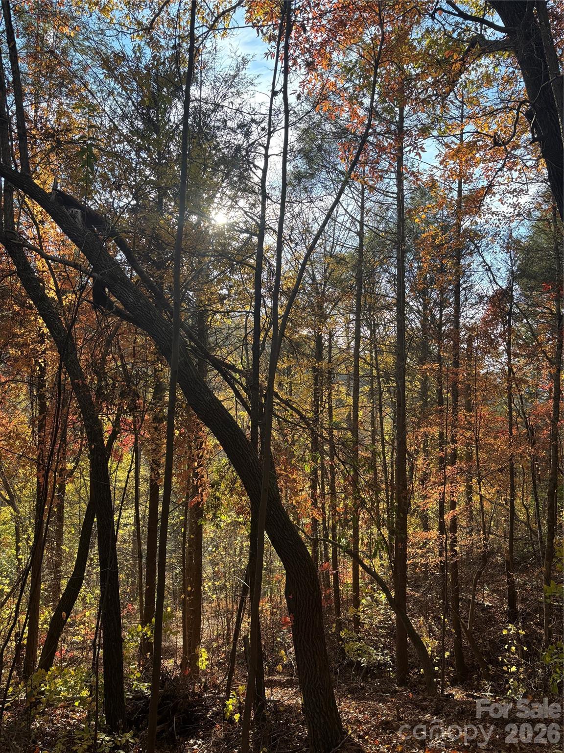 000 Cook Cove Road #2 — Weaverville