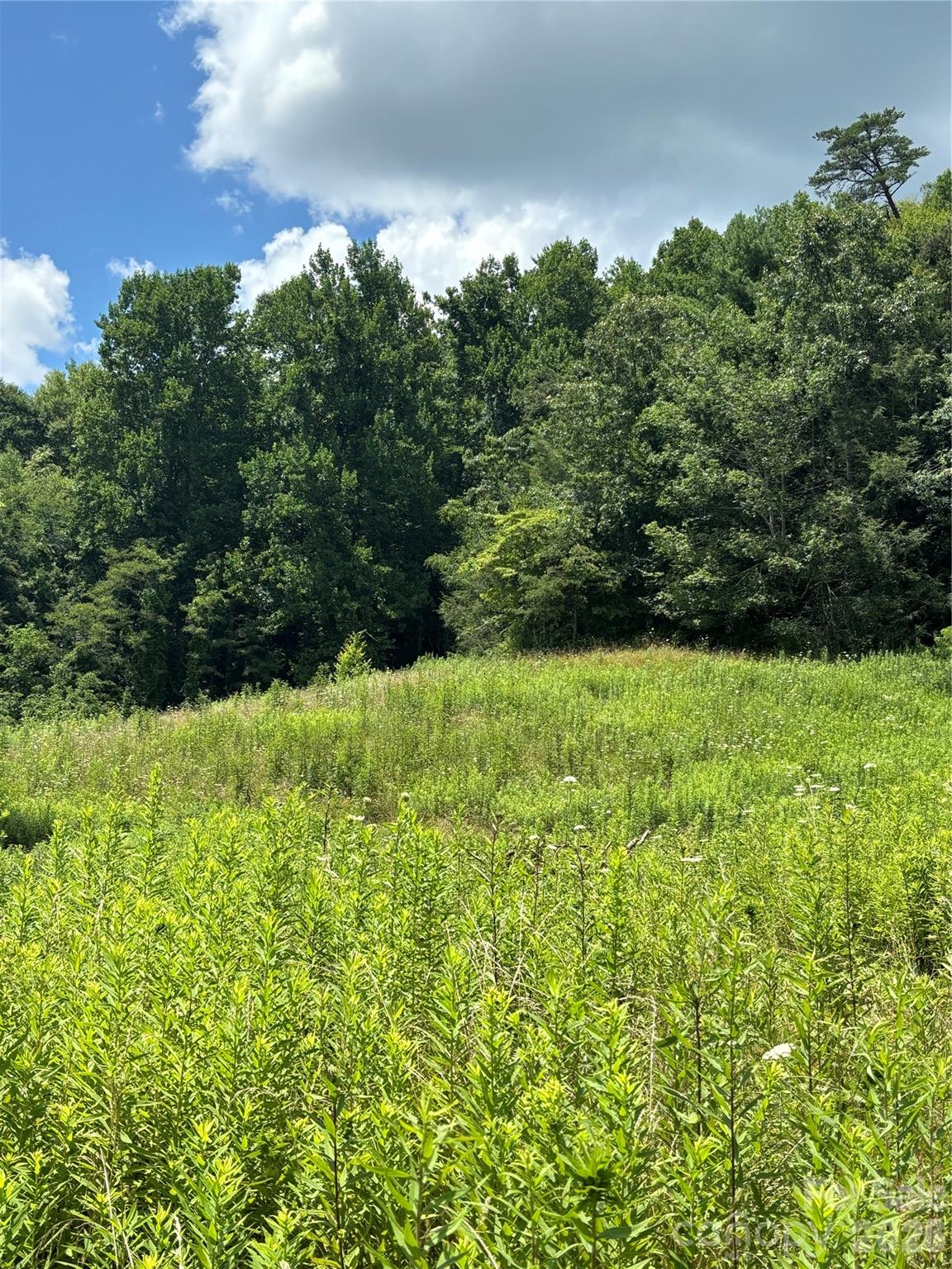000 Cook Cove Road #2 — Weaverville