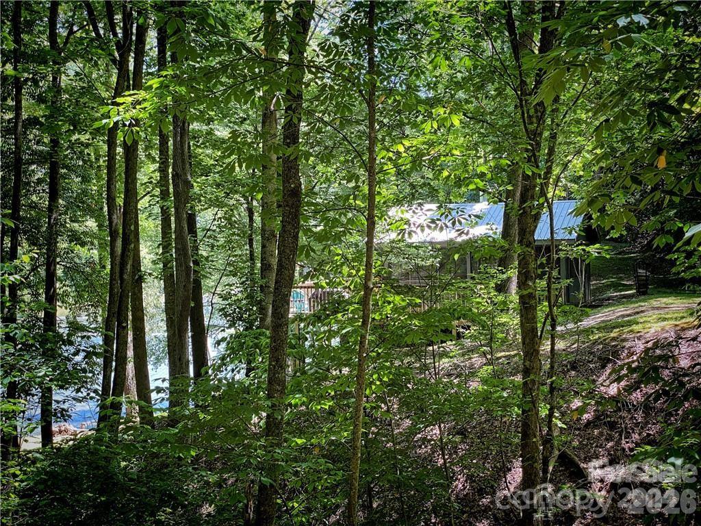 2736 White Oak Flats Road — Green Mountain