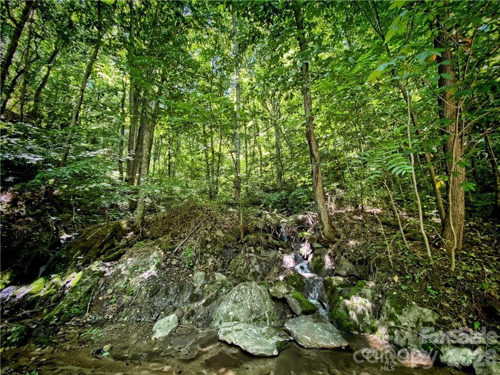 2736 White Oak Flats Road — Green Mountain