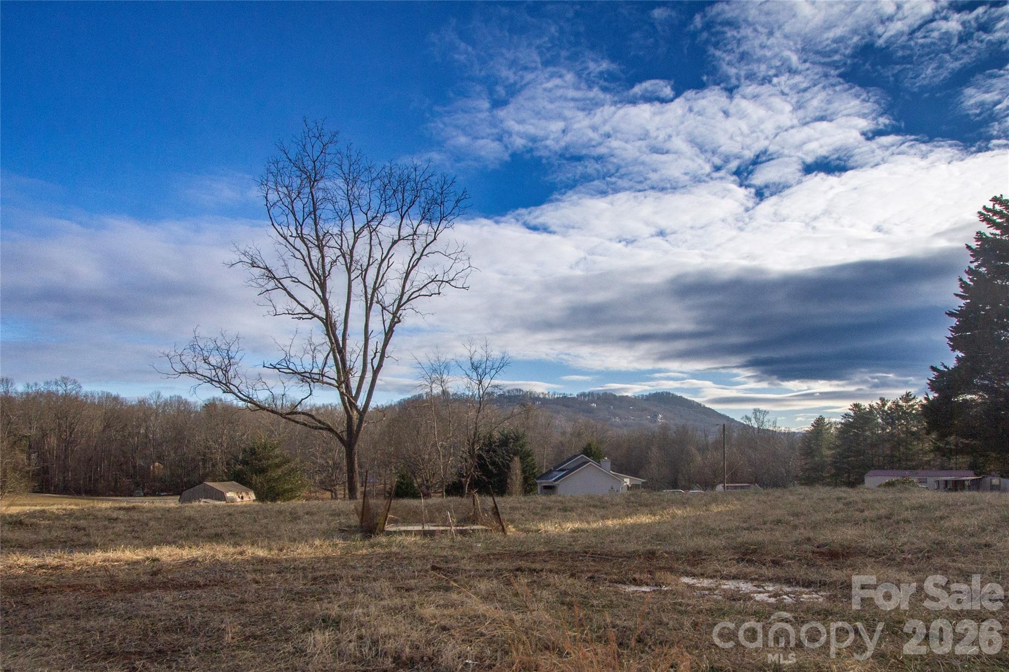 205 Southern Charm Road — Arden