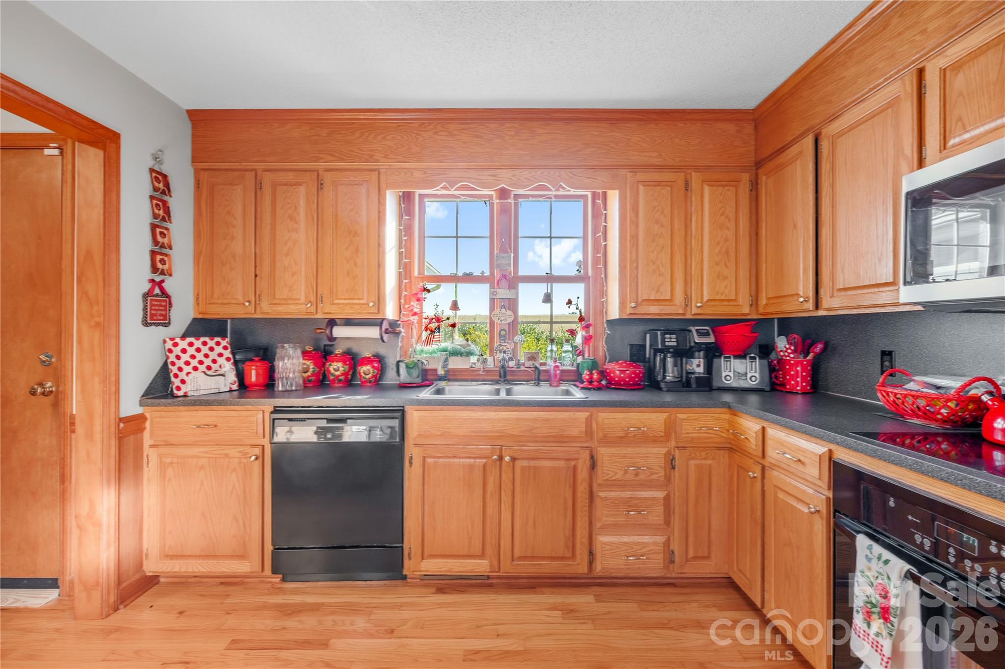 101 Alma Drive — Steadman