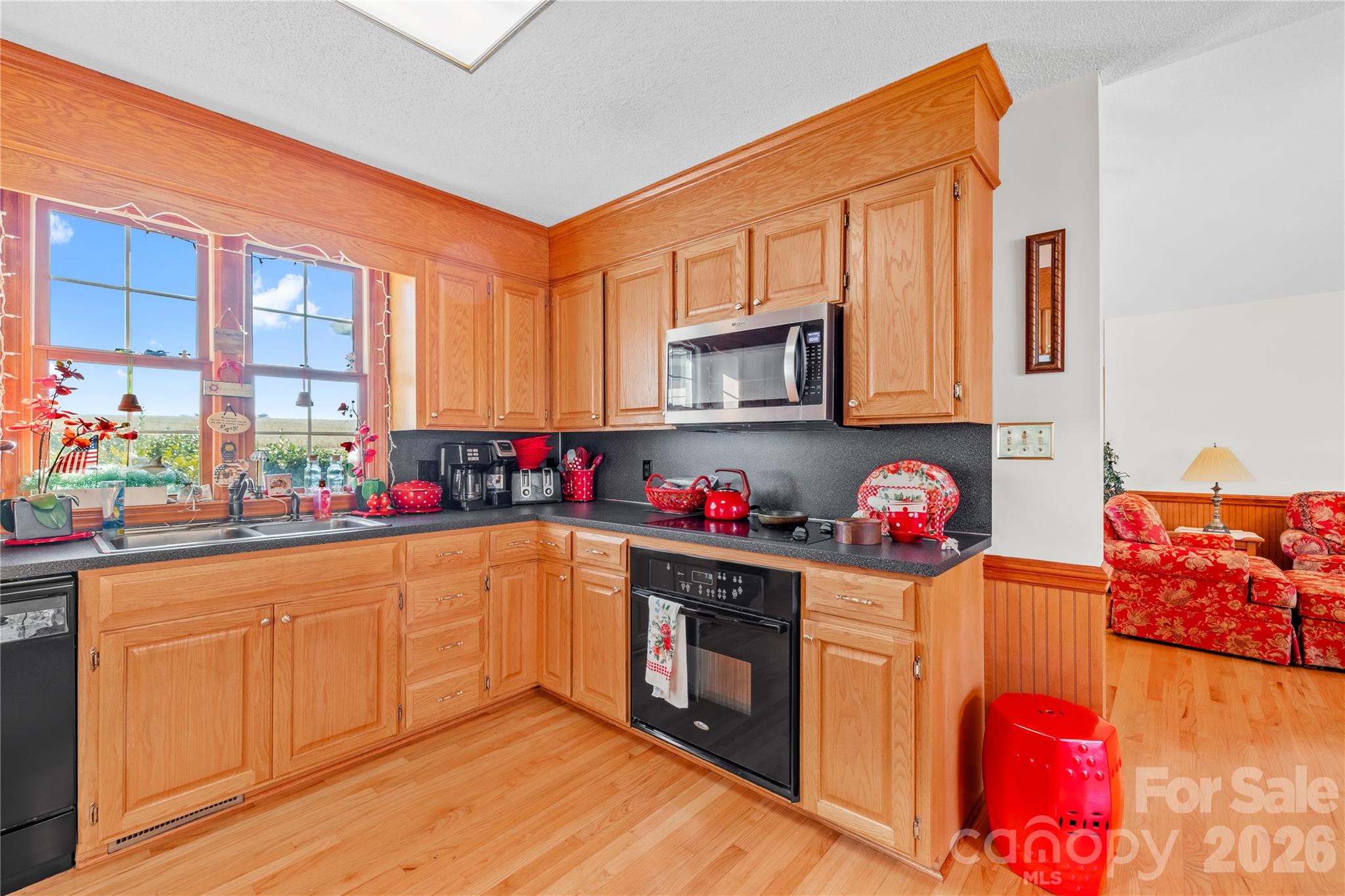101 Alma Drive — Steadman