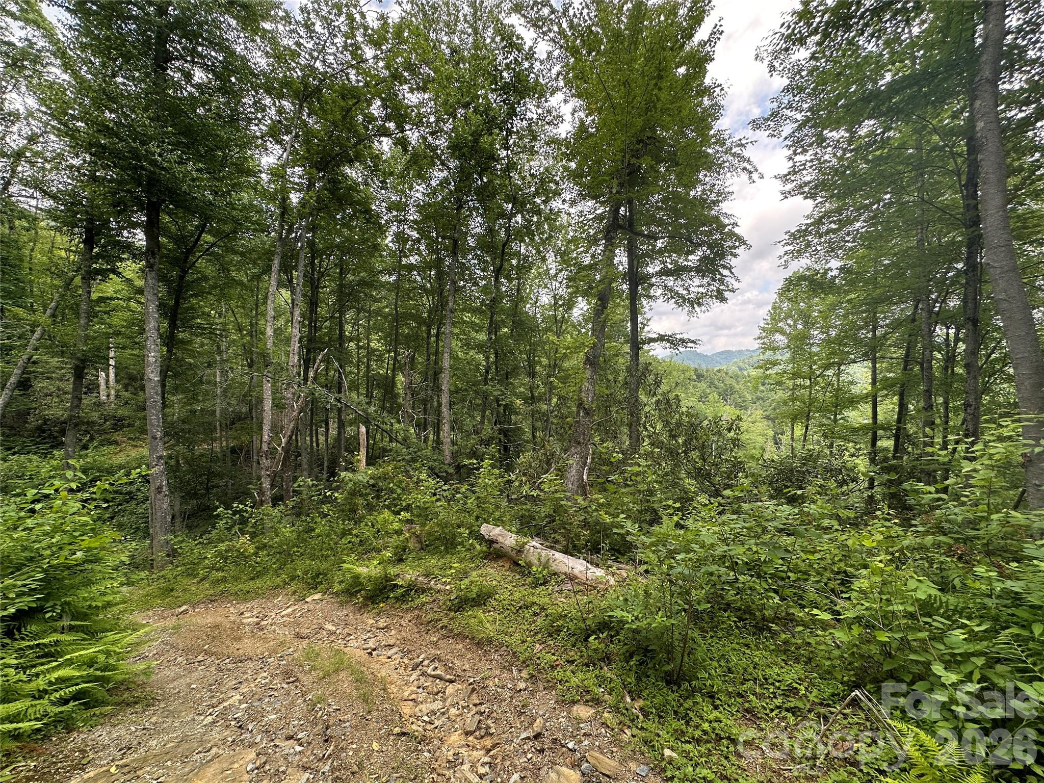 3606 NC Highway 194 None S — Sugar Grove