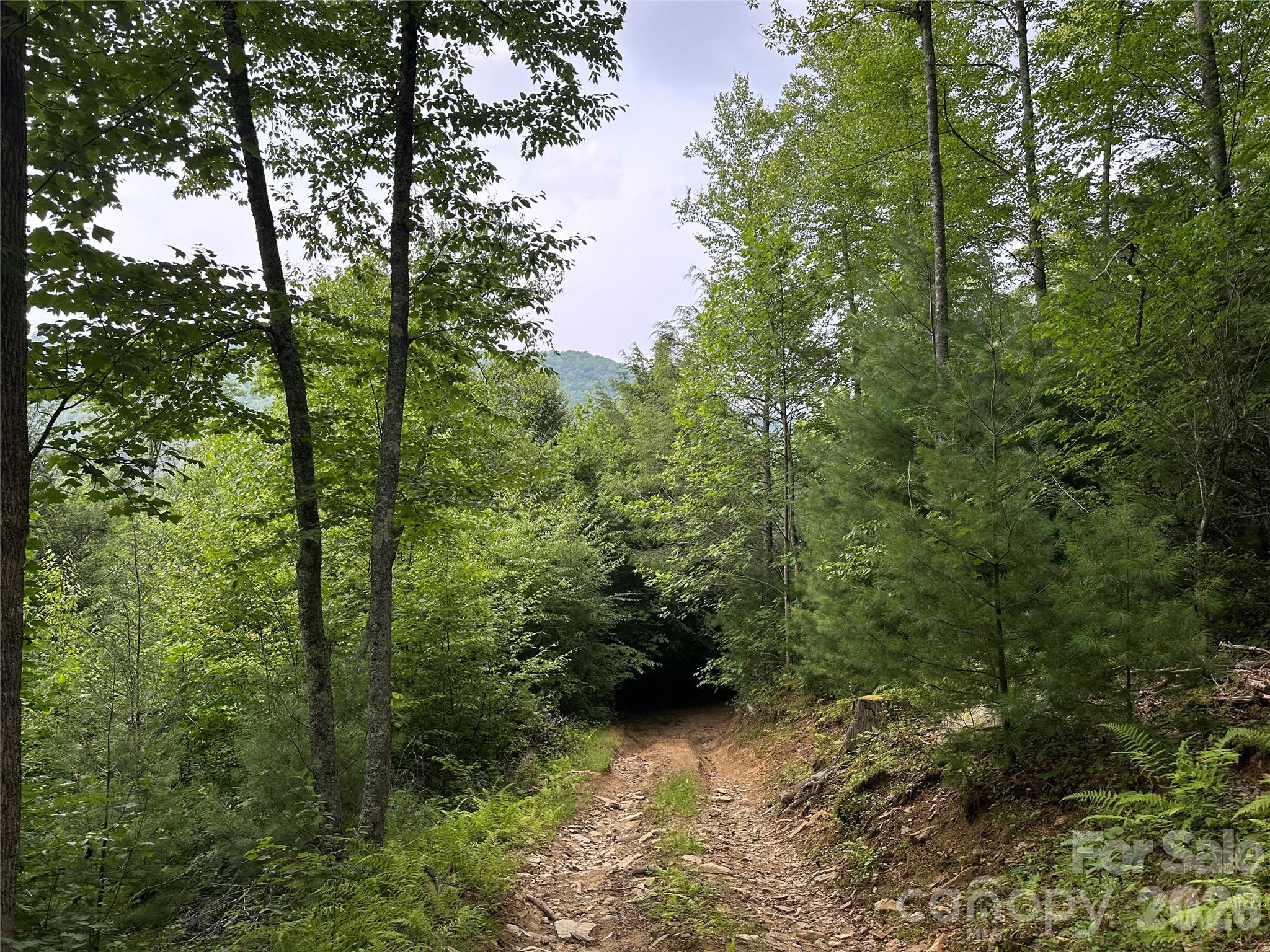 3606 NC Highway 194 None S — Sugar Grove