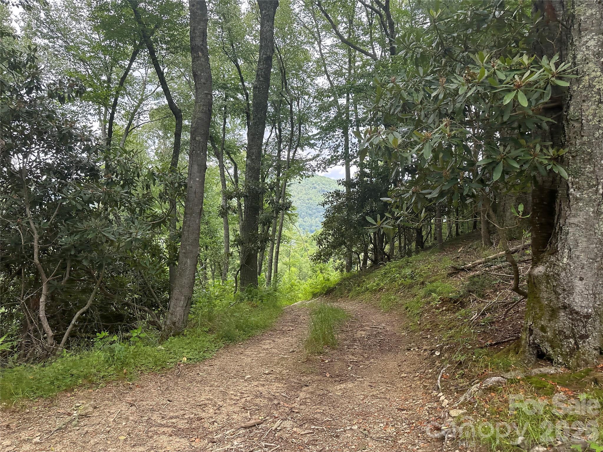 3606 NC Highway 194 None S — Sugar Grove