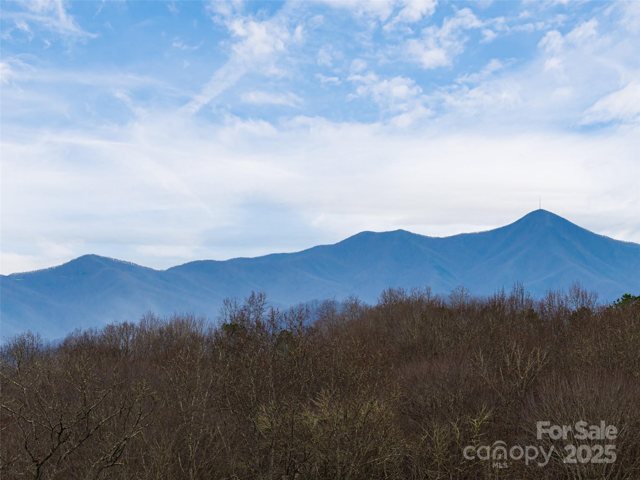 51 Bridgeway Drive #12 — Candler