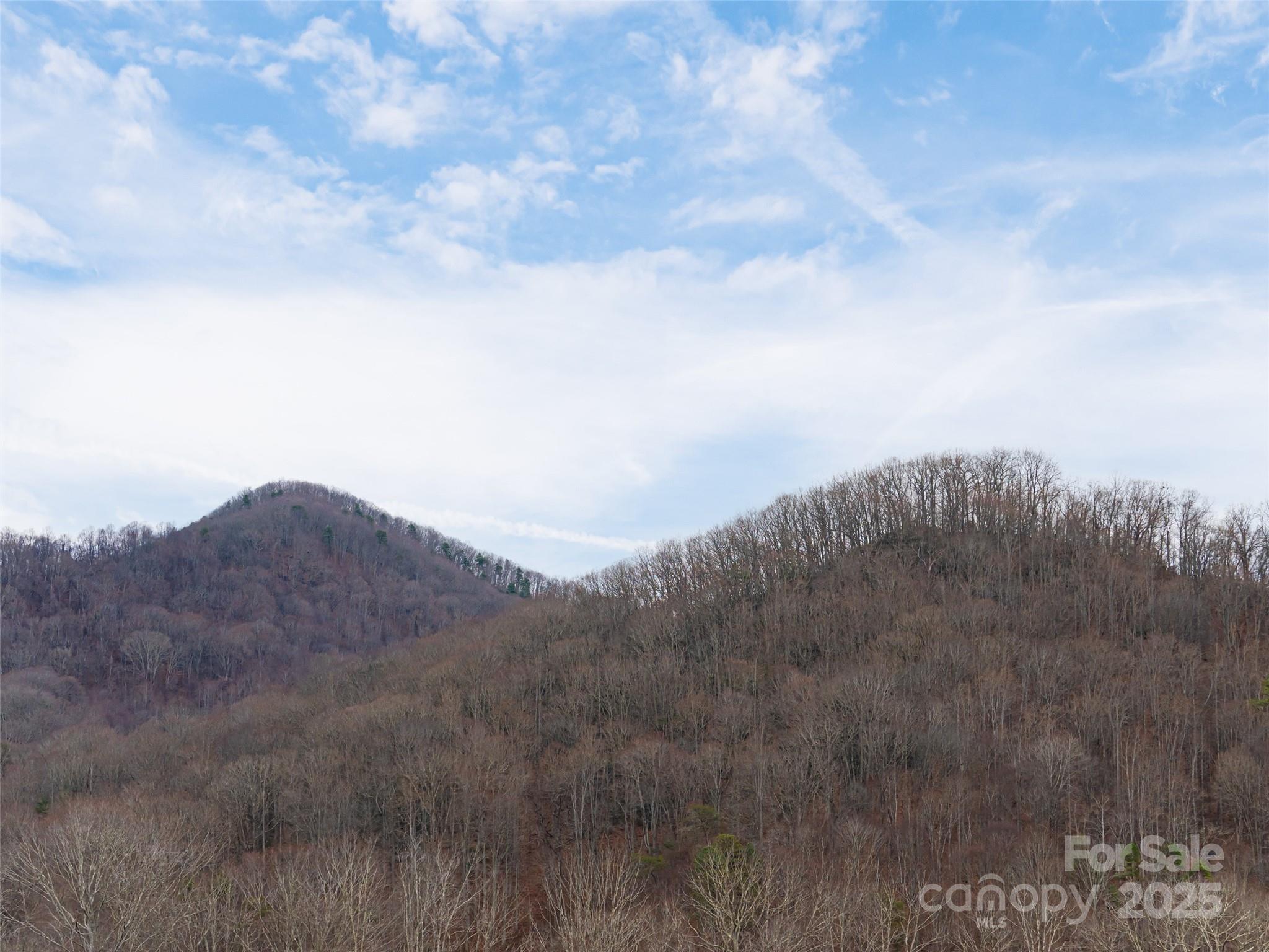 51 Bridgeway Drive #12 — Candler