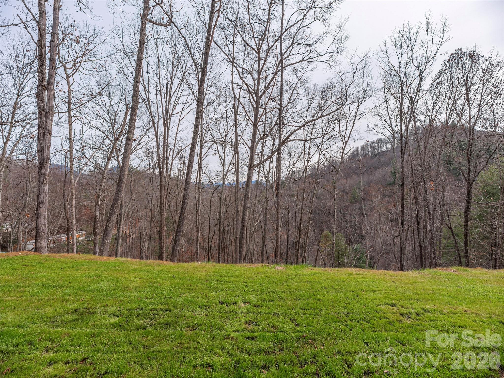 55 Dean Riddle Drive — Waynesville