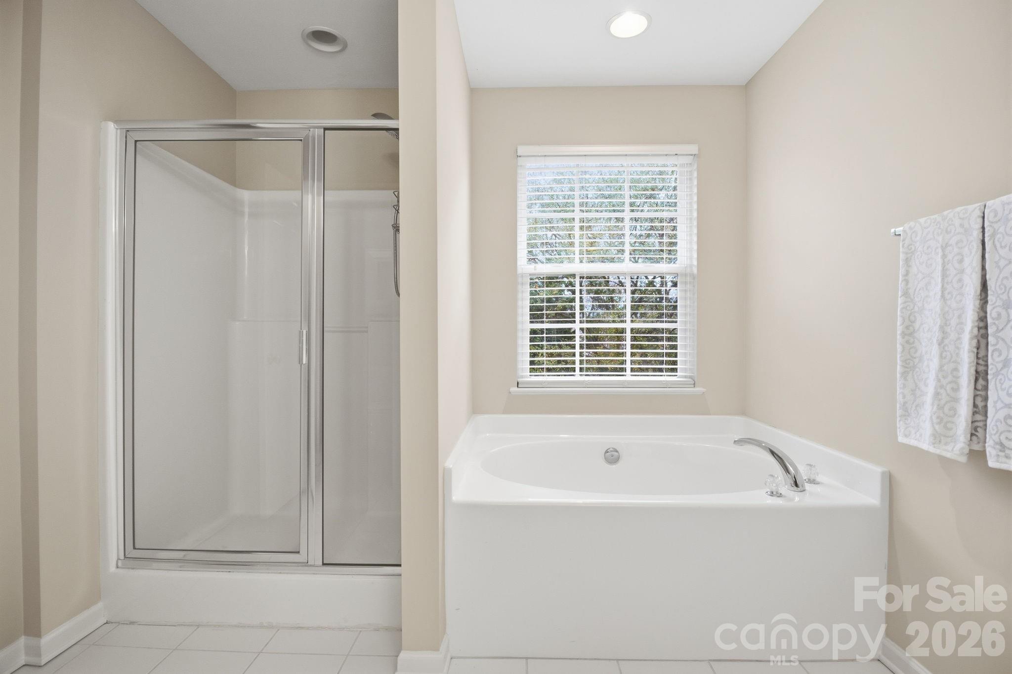 19105 Chandlers Landing Drive — Cornelius