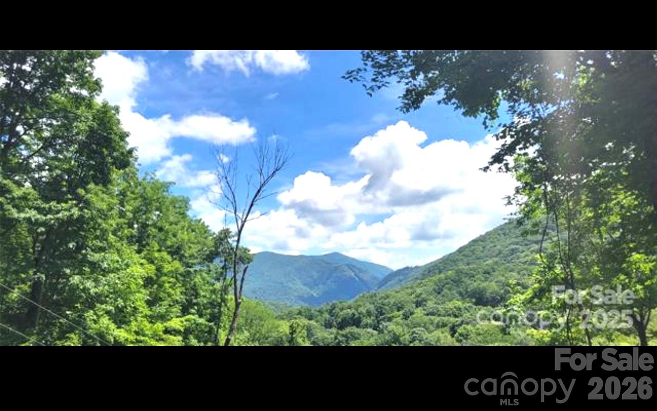 000 Wayah Zooshuga Road — Maggie Valley