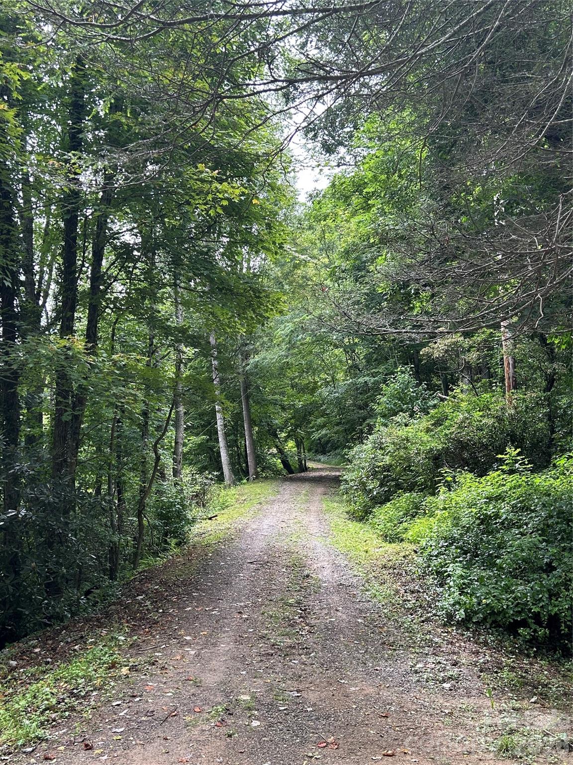 000 Wayah Zooshuga Road — Maggie Valley