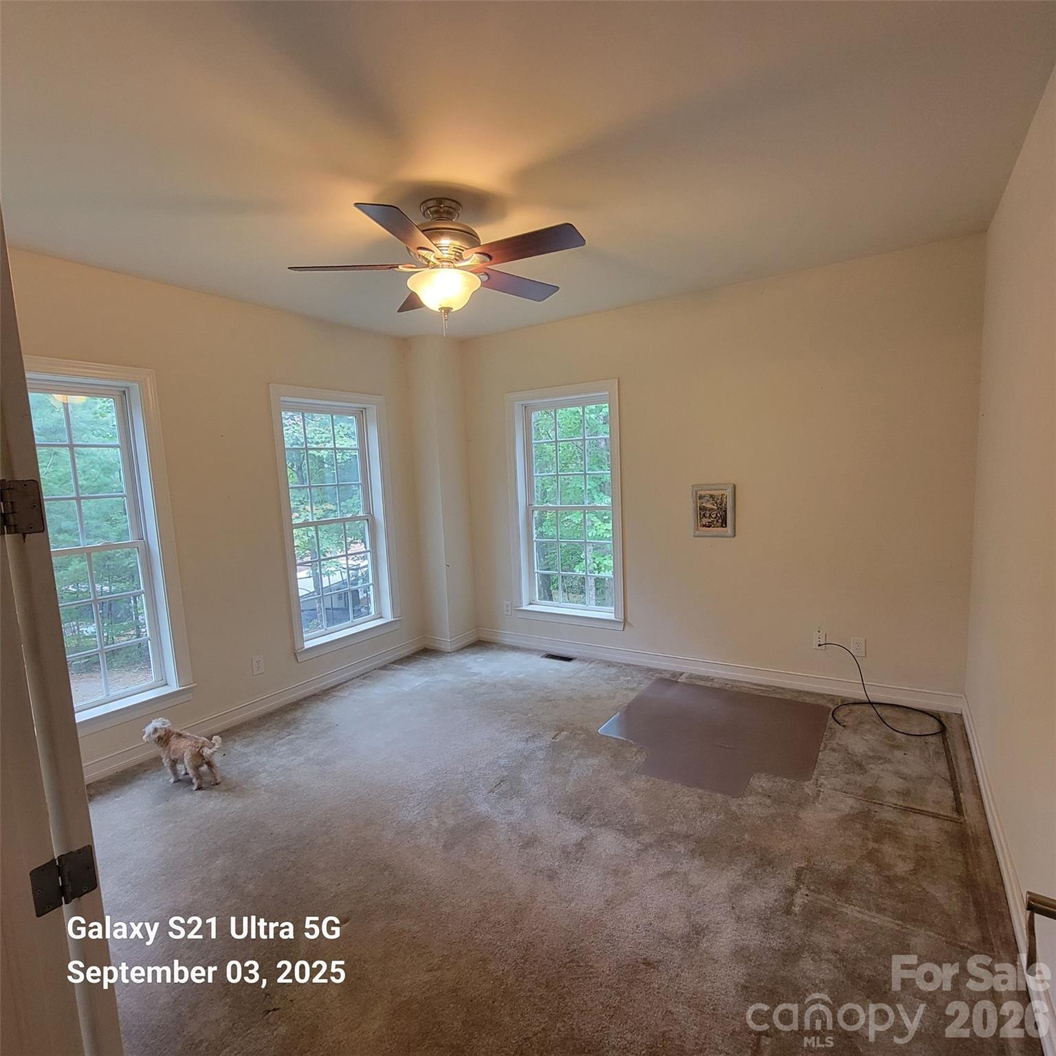 31 Reeds Creek Road — Fairview