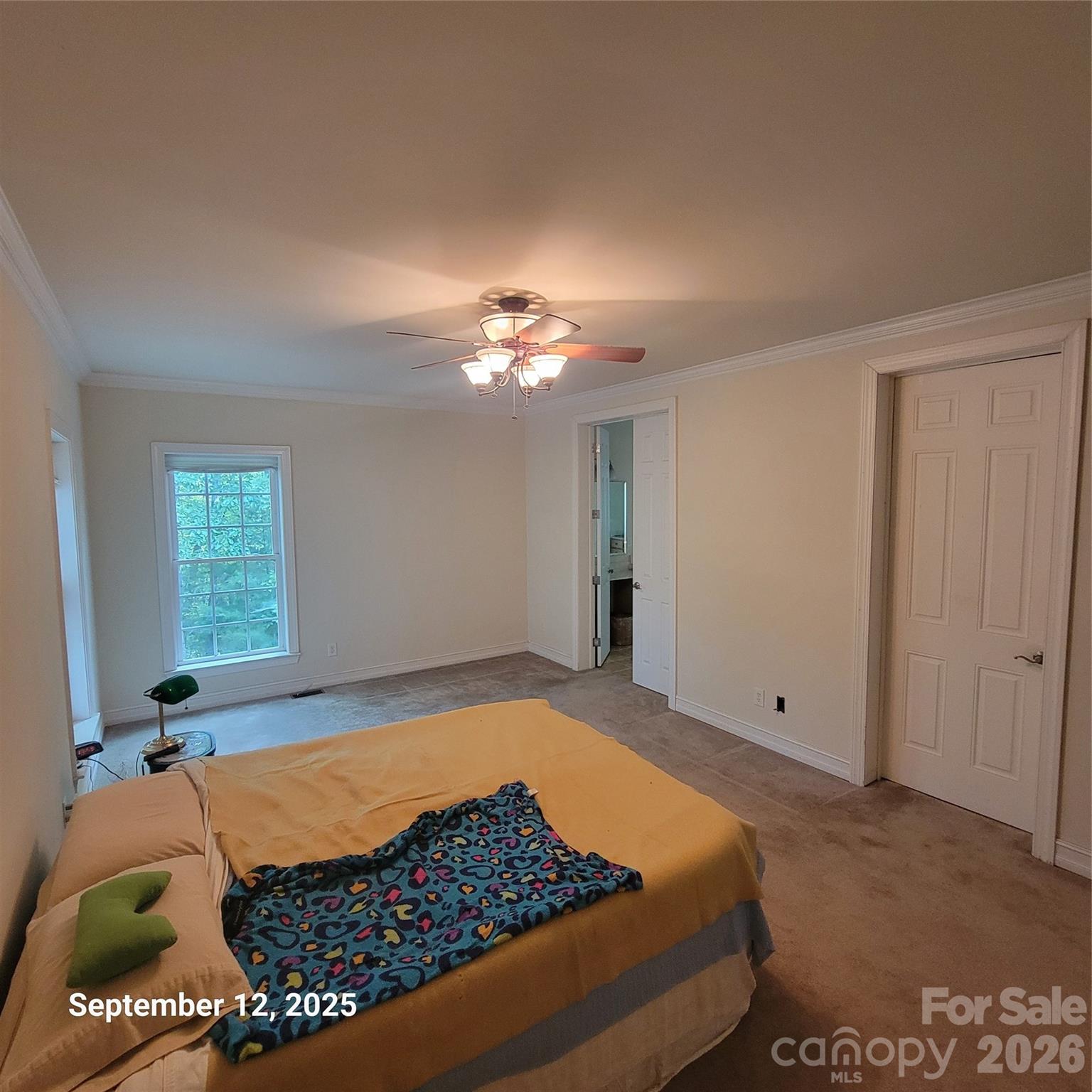31 Reeds Creek Road — Fairview