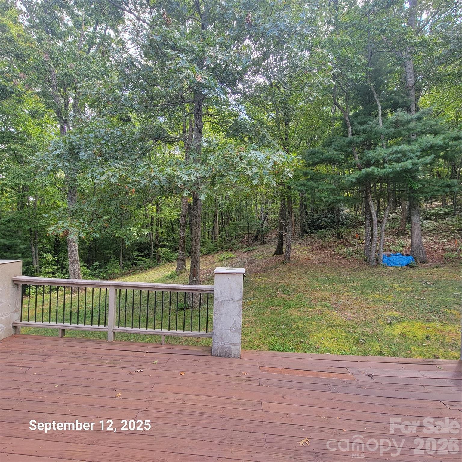 31 Reeds Creek Road — Fairview