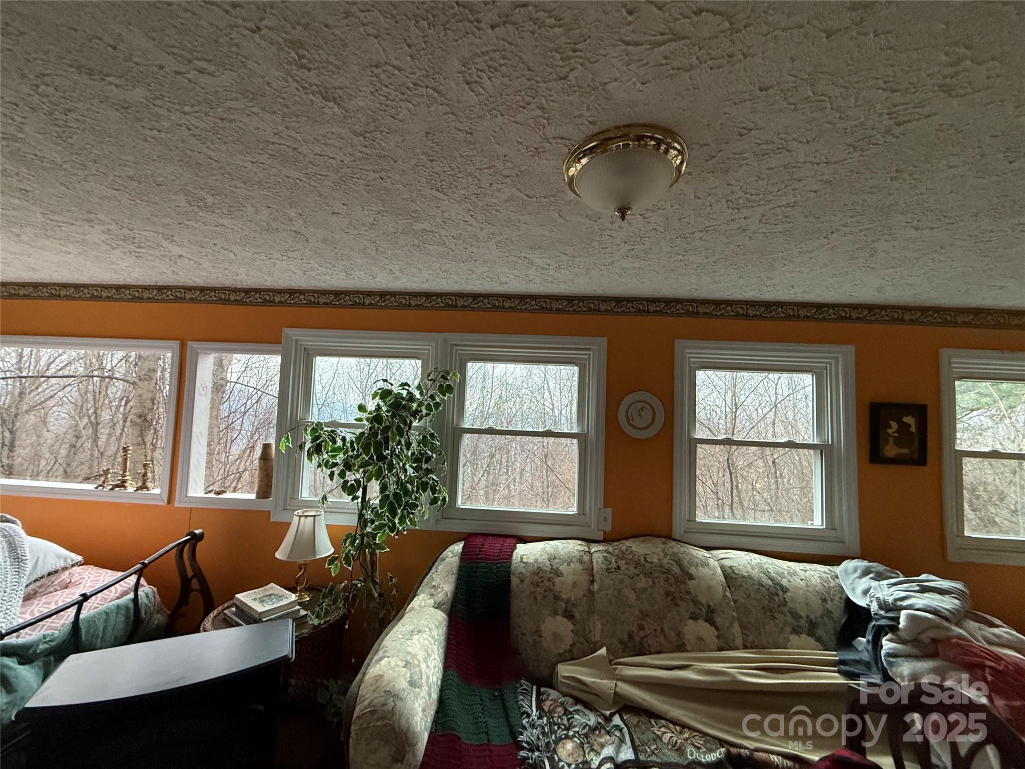 201 Mountain Vista Road — Canton