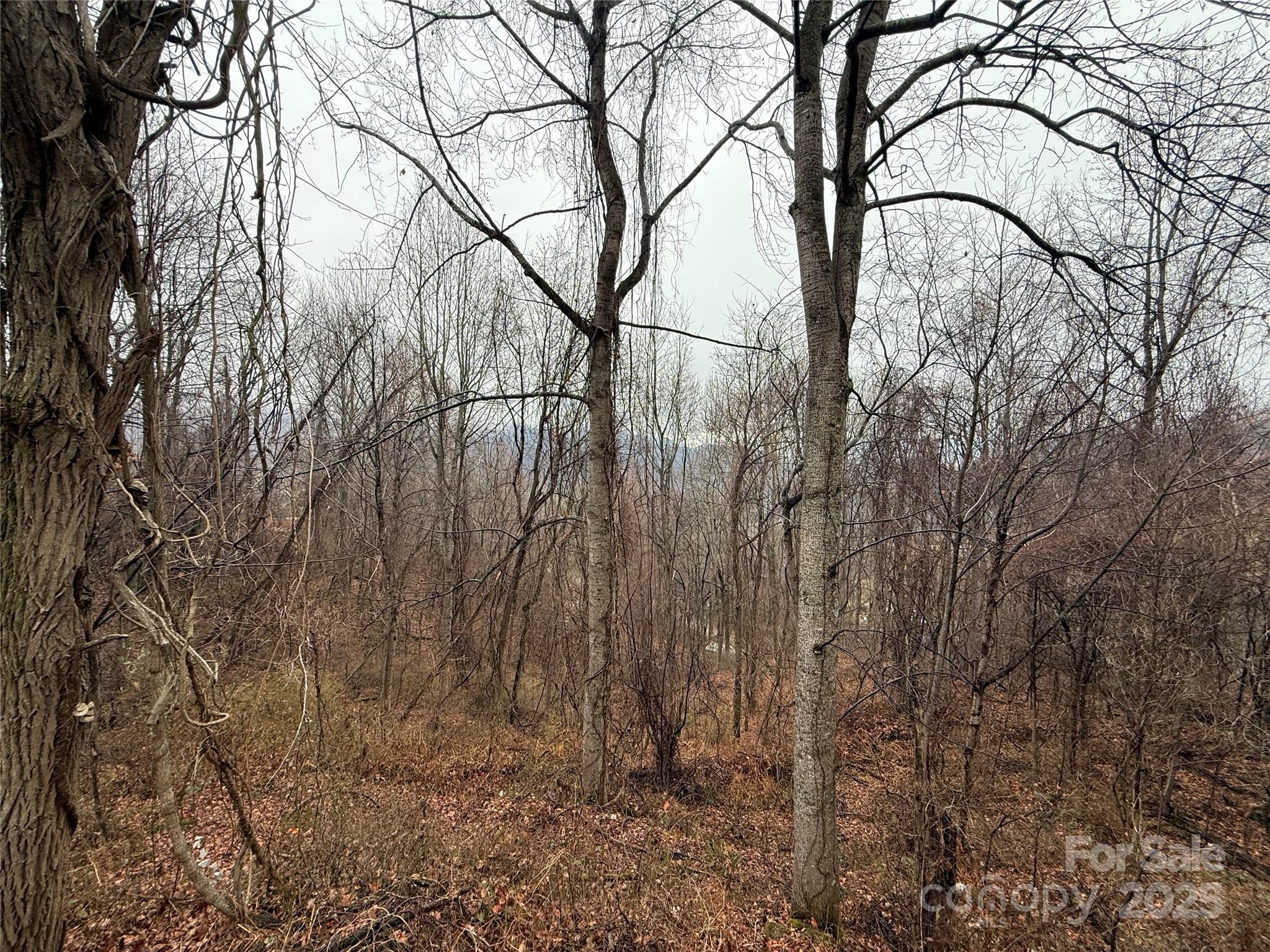 201 Mountain Vista Road — Canton