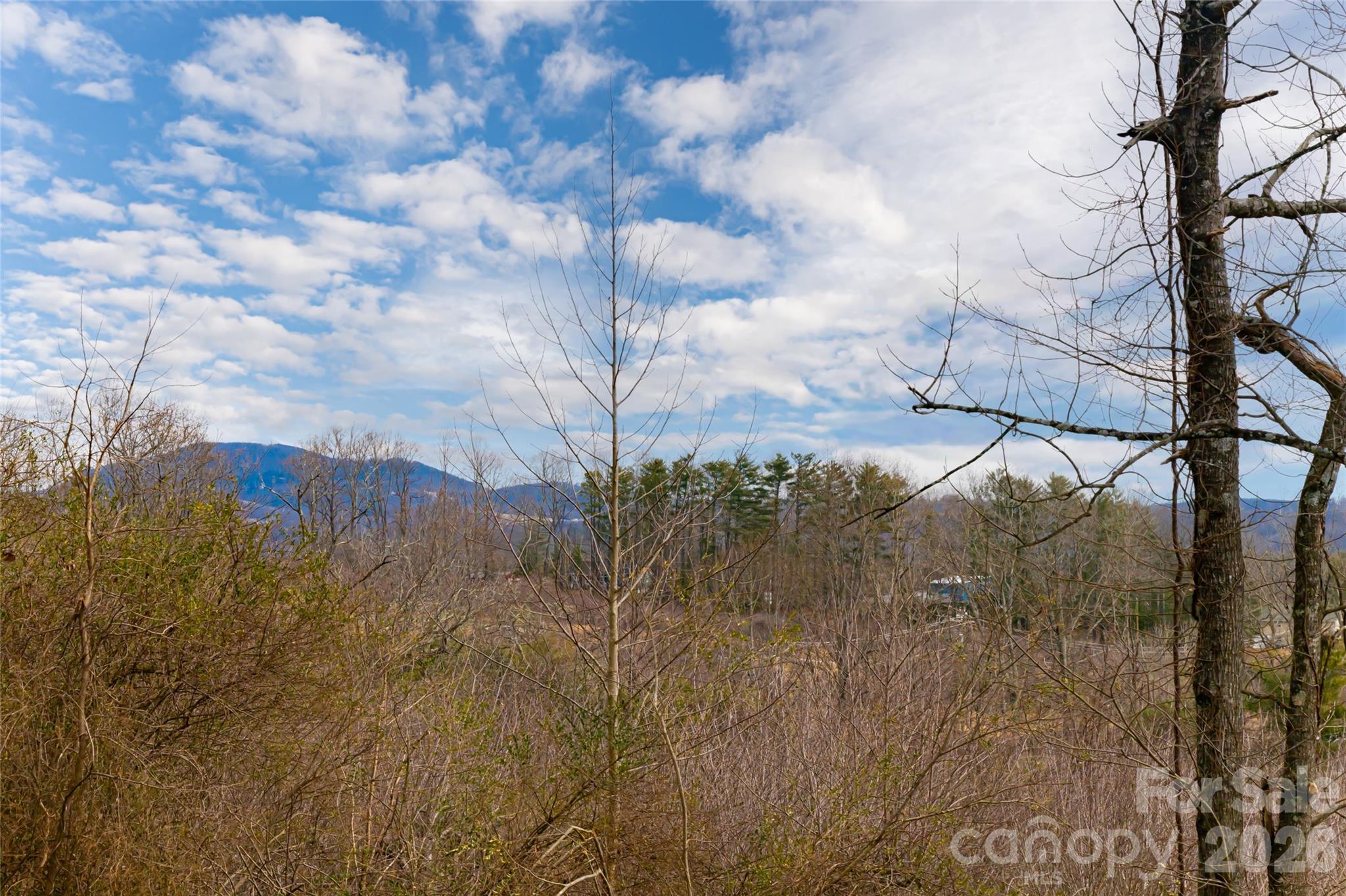 153 Hackleburg Lane — Hendersonville
