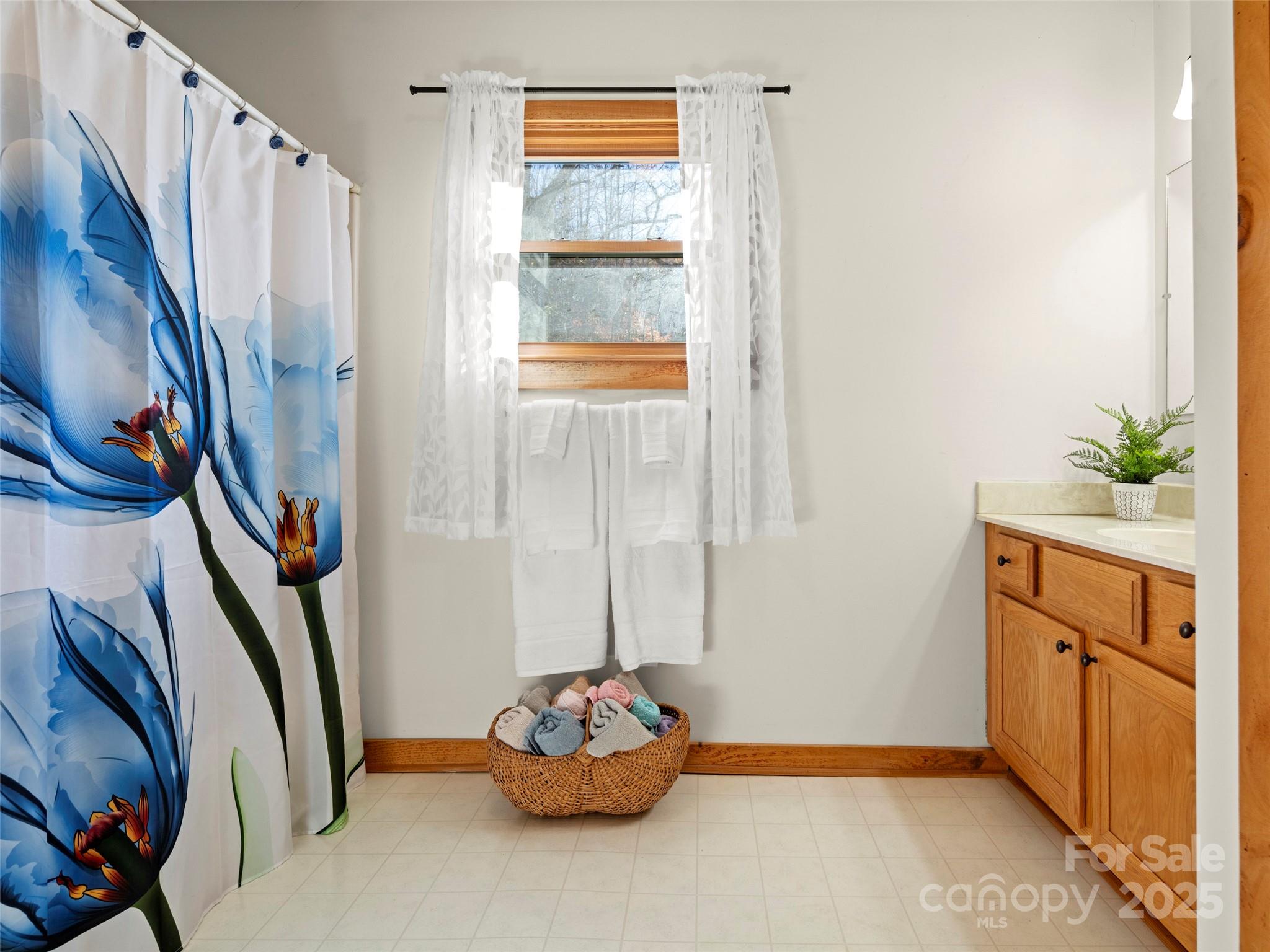 538 E Fork Road — Sylva