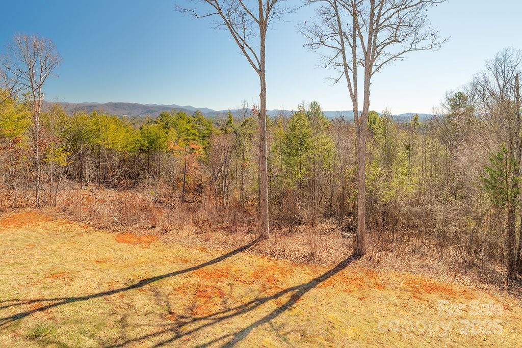 61 Buckle Ridge — Weaverville
