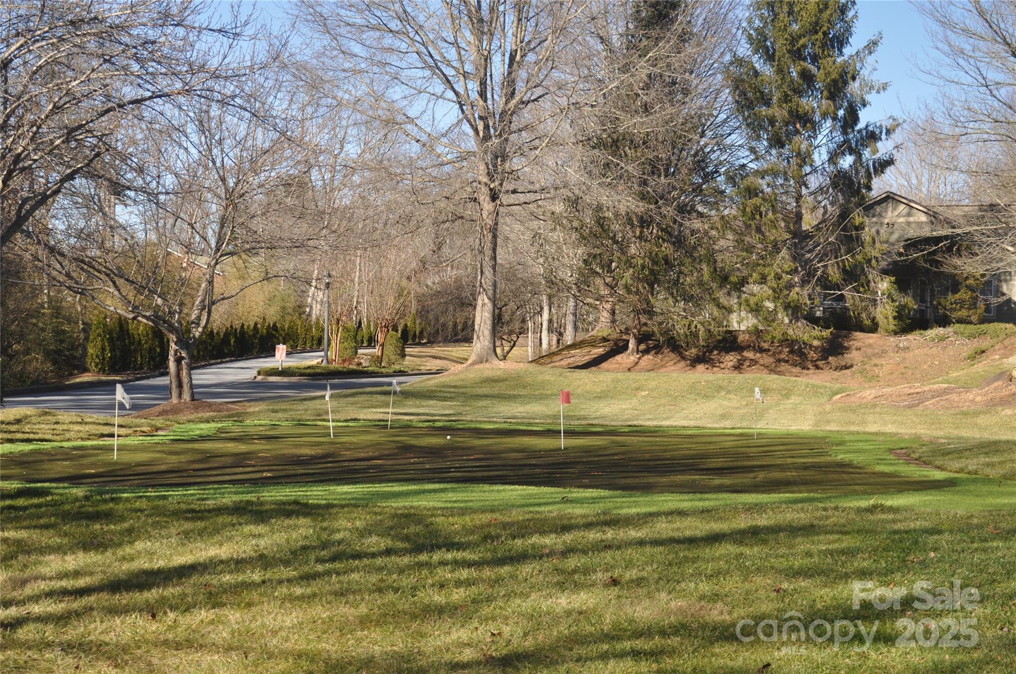 51 Barn Owl Way — Hendersonville