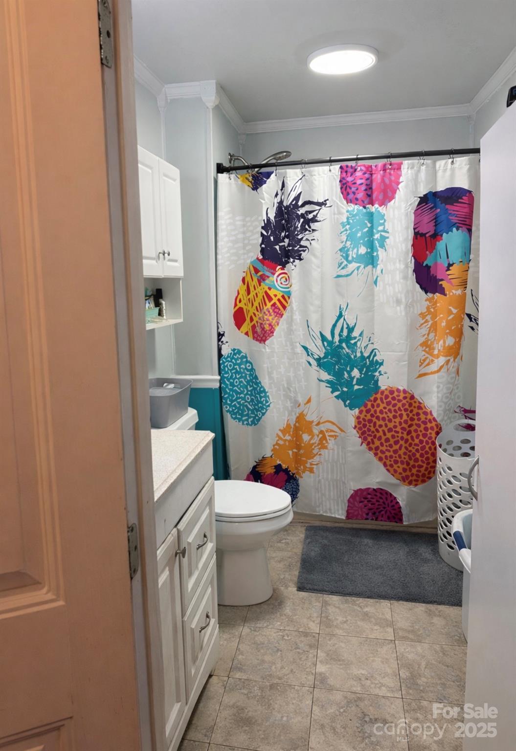 220 E Catawba Avenue — Mount Holly