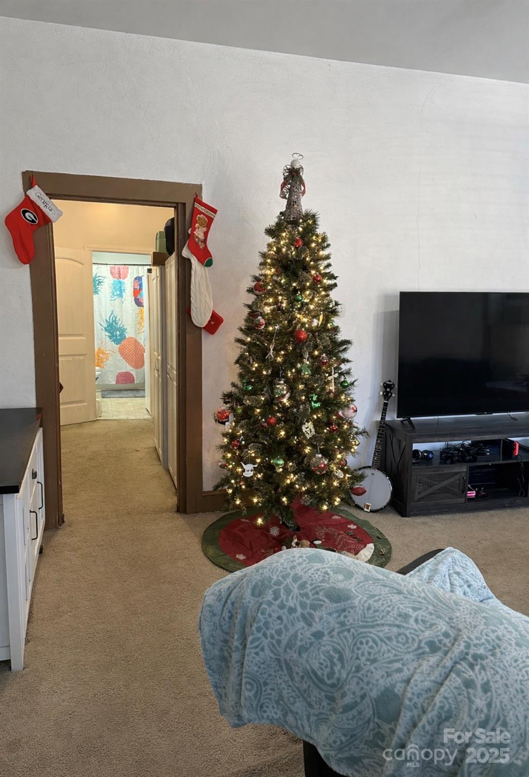 220 E Catawba Avenue — Mount Holly