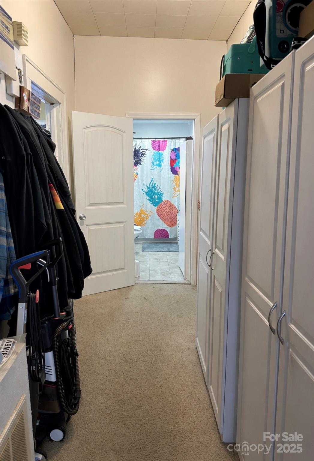 220 E Catawba Avenue — Mount Holly
