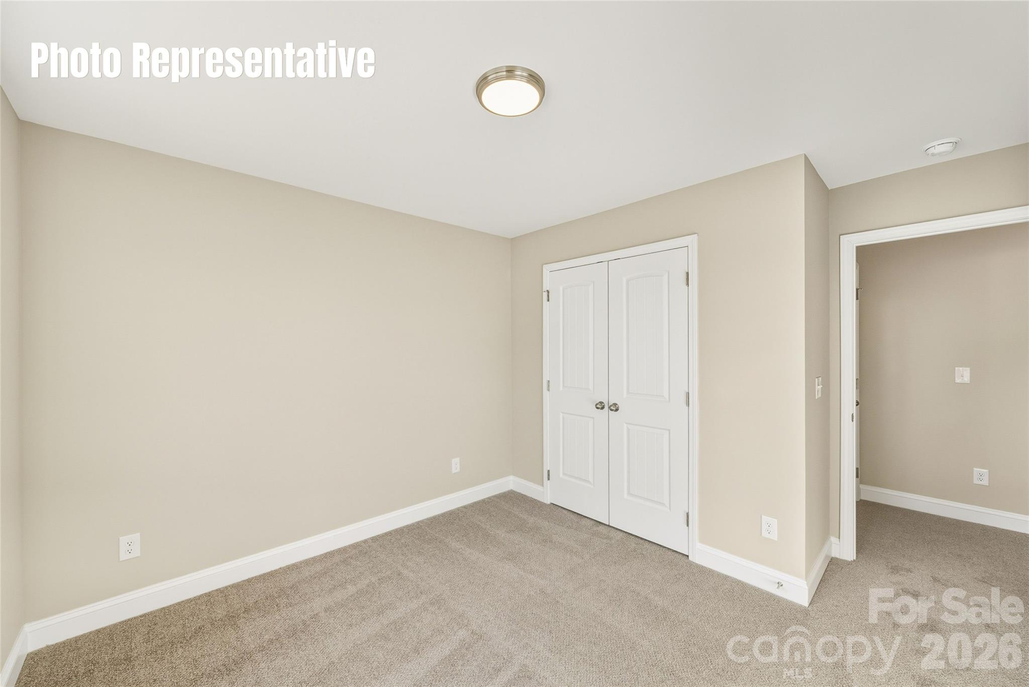 87 Coon Creek Road — Pageland