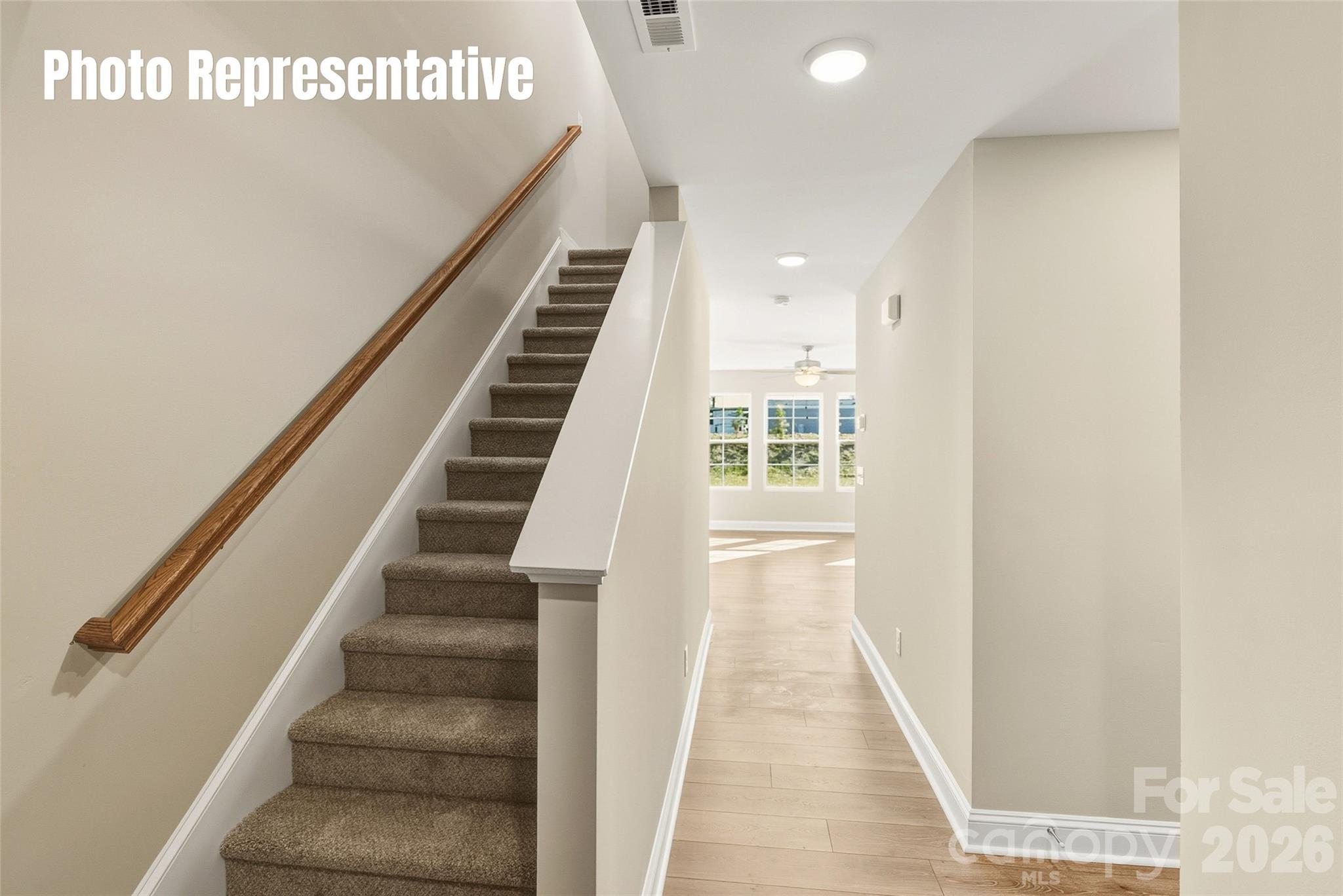 87 Coon Creek Road — Pageland