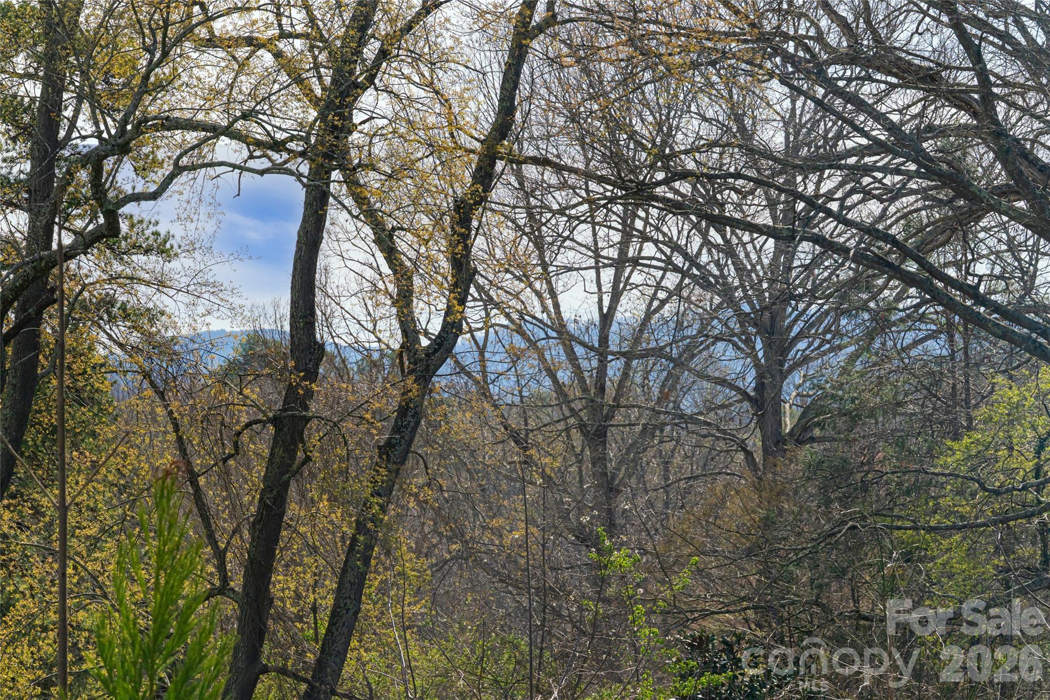 10 Lance Lane — Asheville