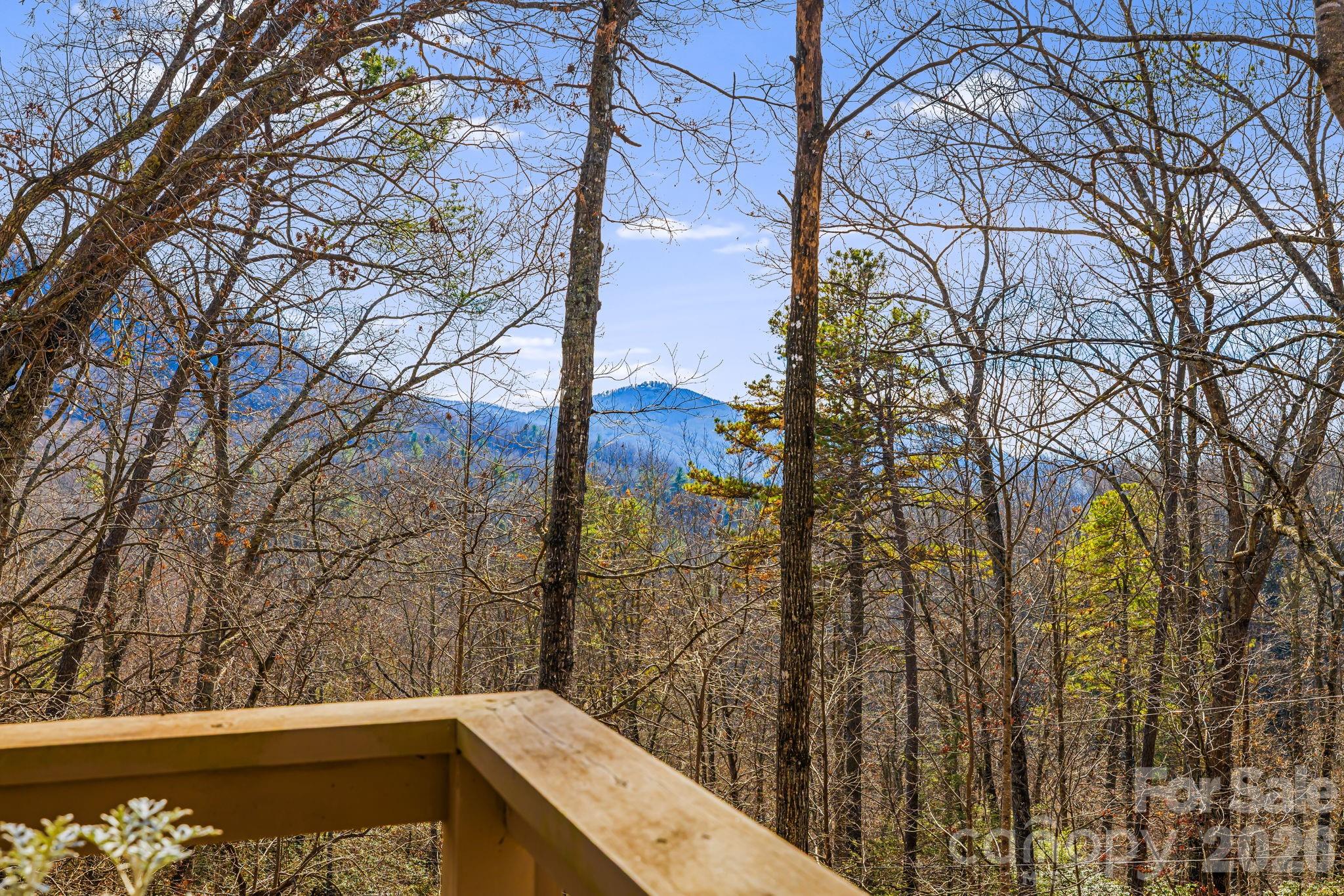 65 Roy Lane — Black Mountain