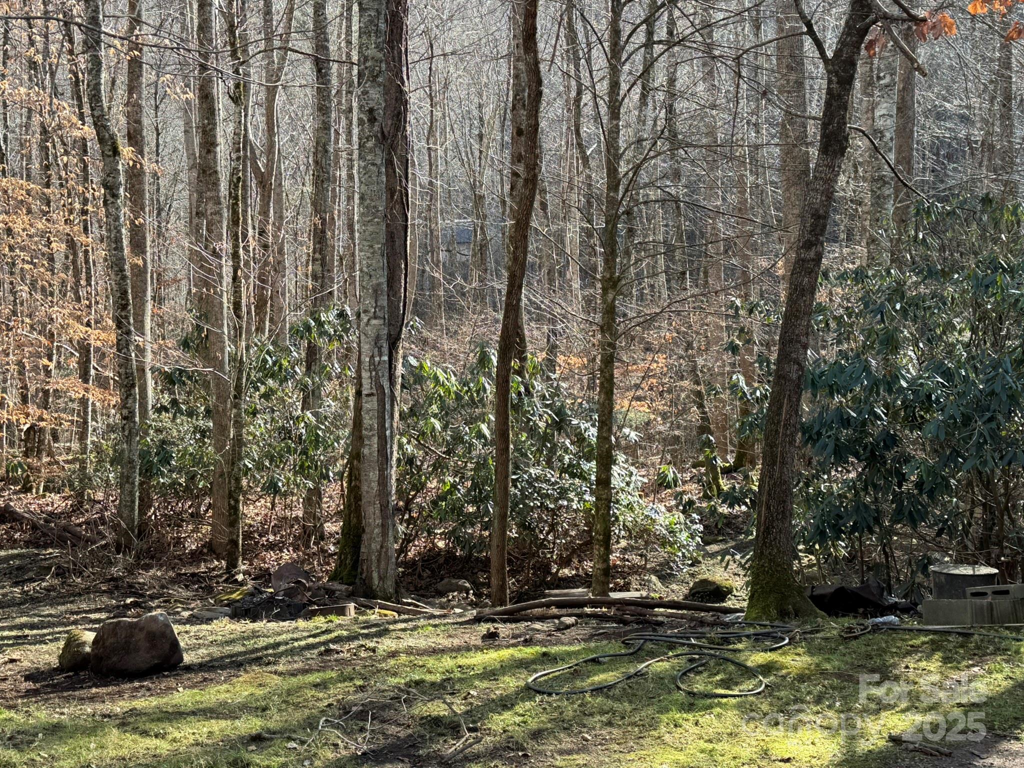 80 Larkspur Lane — Cullowhee