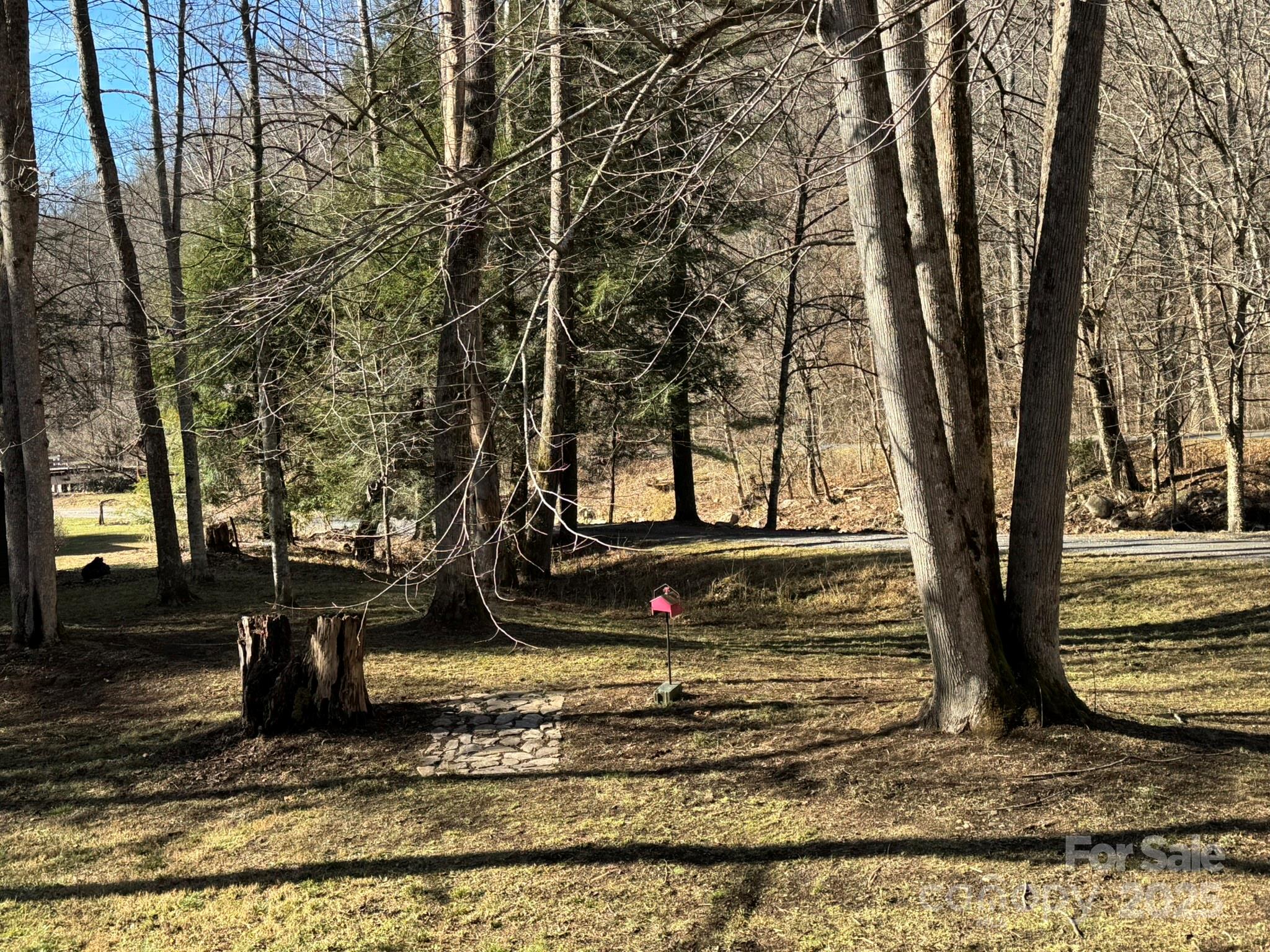 80 Larkspur Lane — Cullowhee