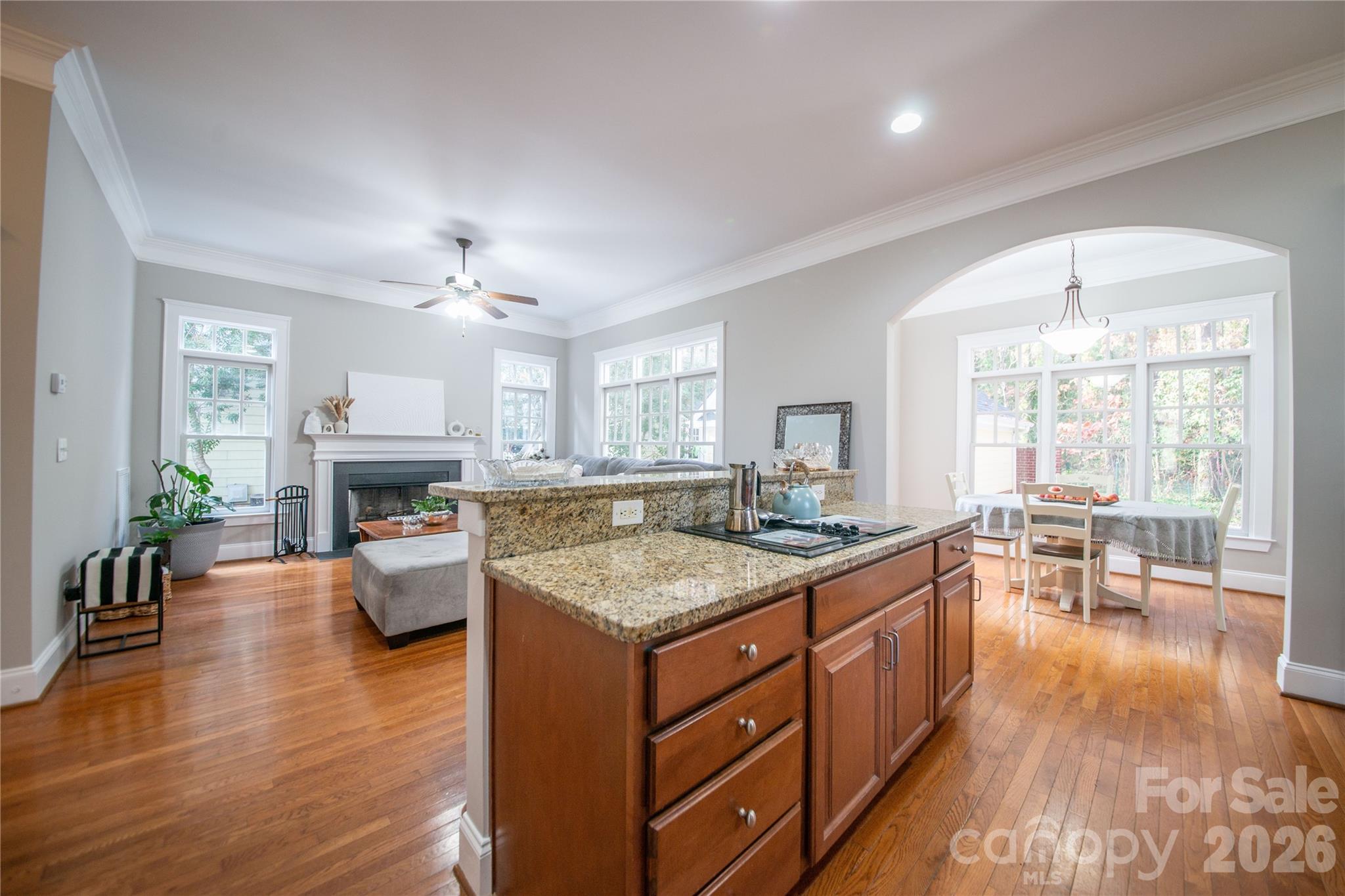 521 Lees Court Street — Charlotte