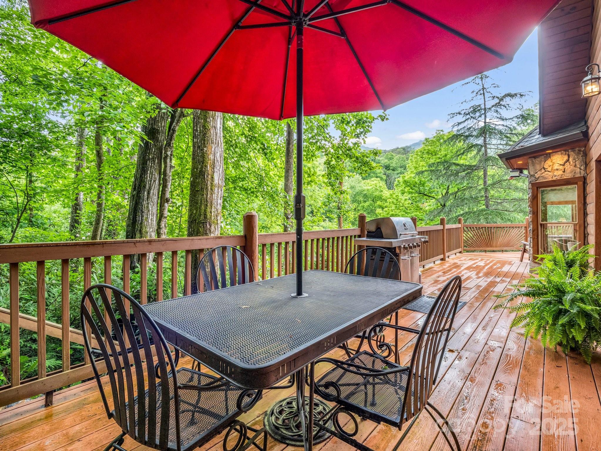 120 Rocky Mountain Drive — Lake Lure