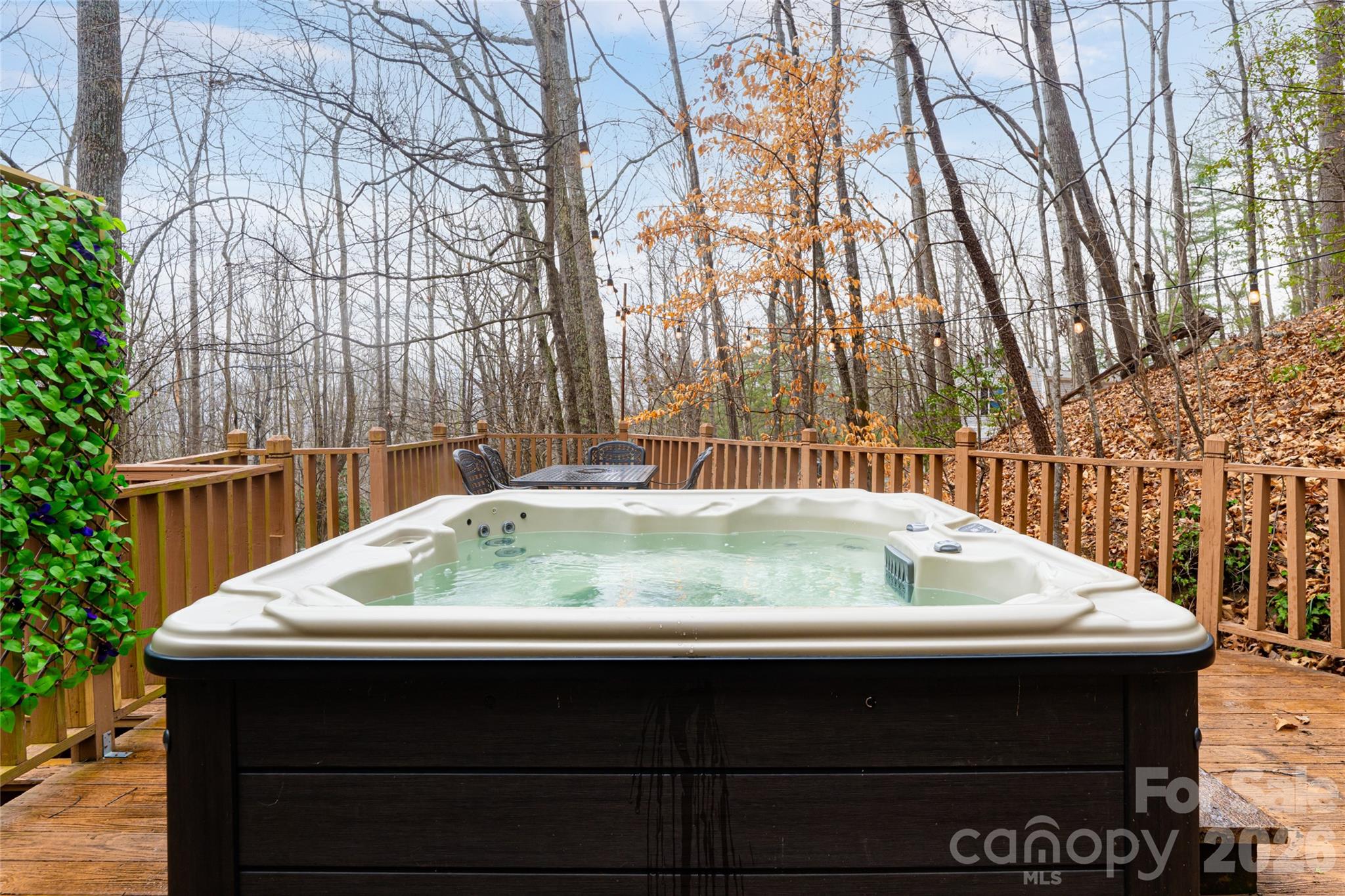 16 Rocky Glen Trail — Black Mountain