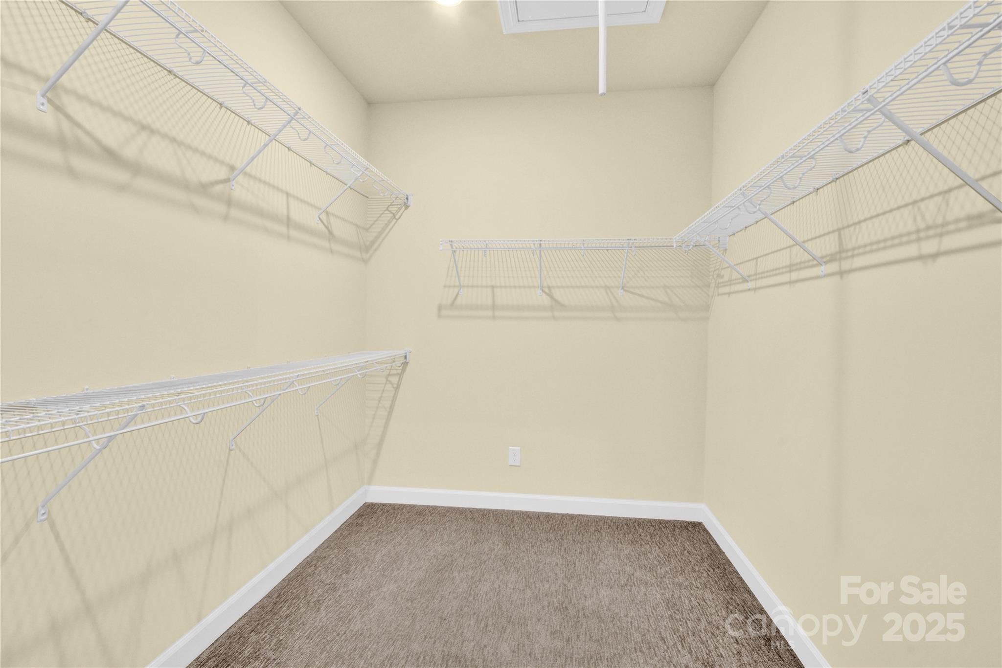 3005 Striped Maple Court — Charlotte