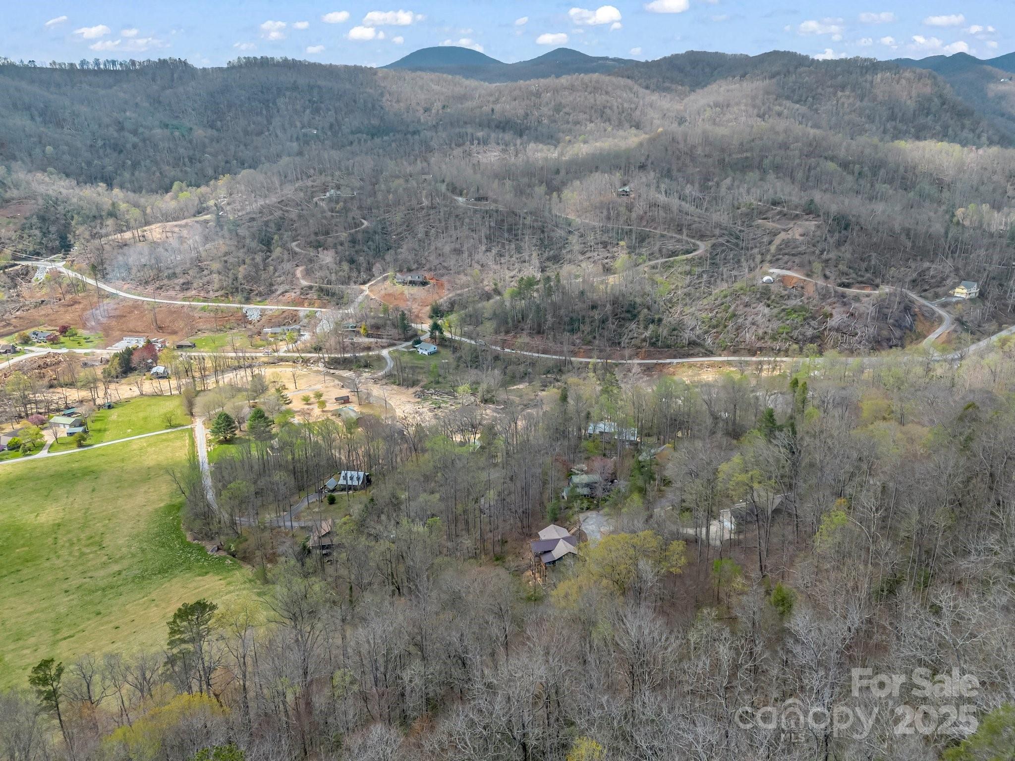 107 Twisted Birch Drive — Hendersonville