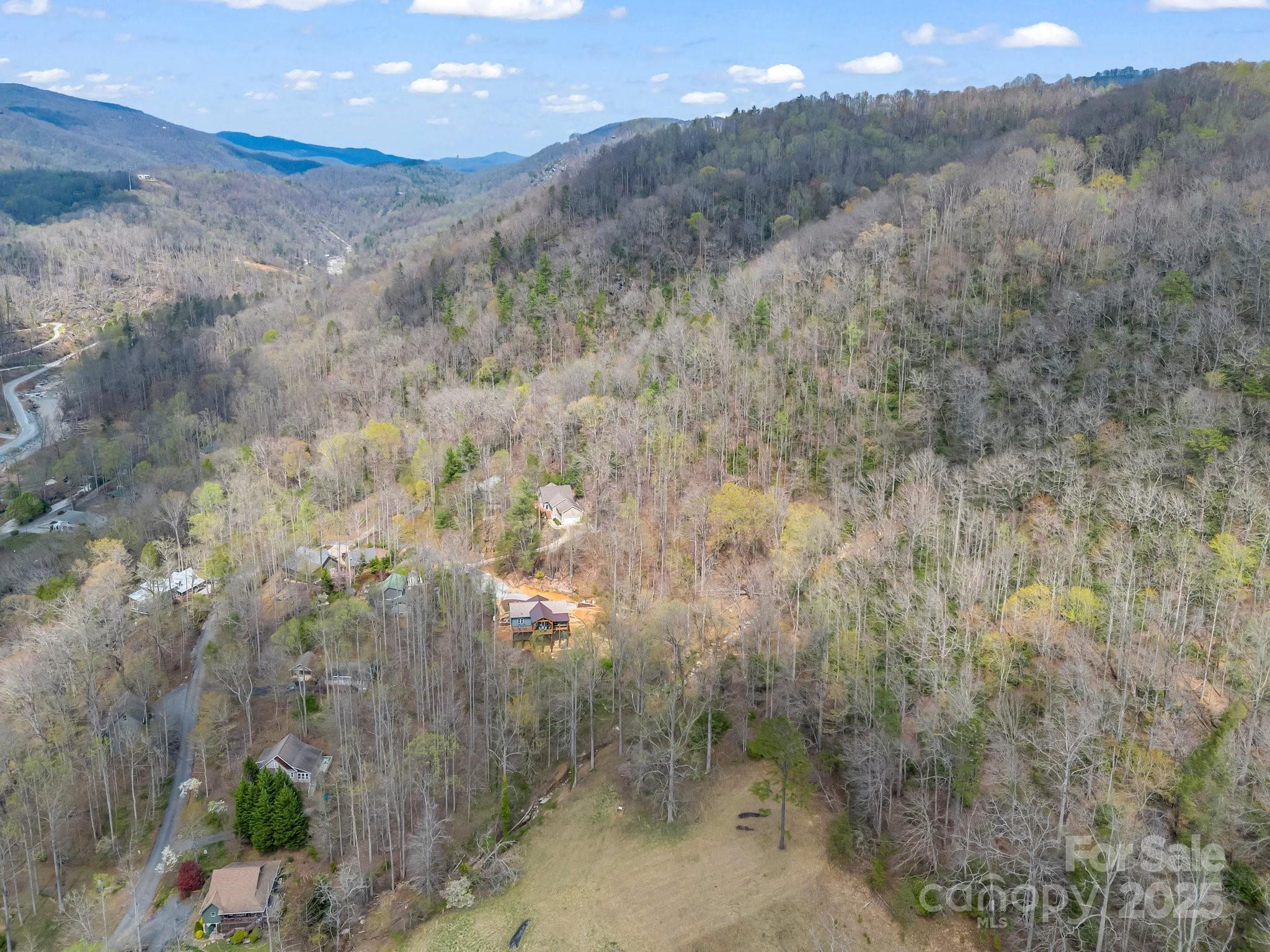 107 Twisted Birch Drive — Hendersonville