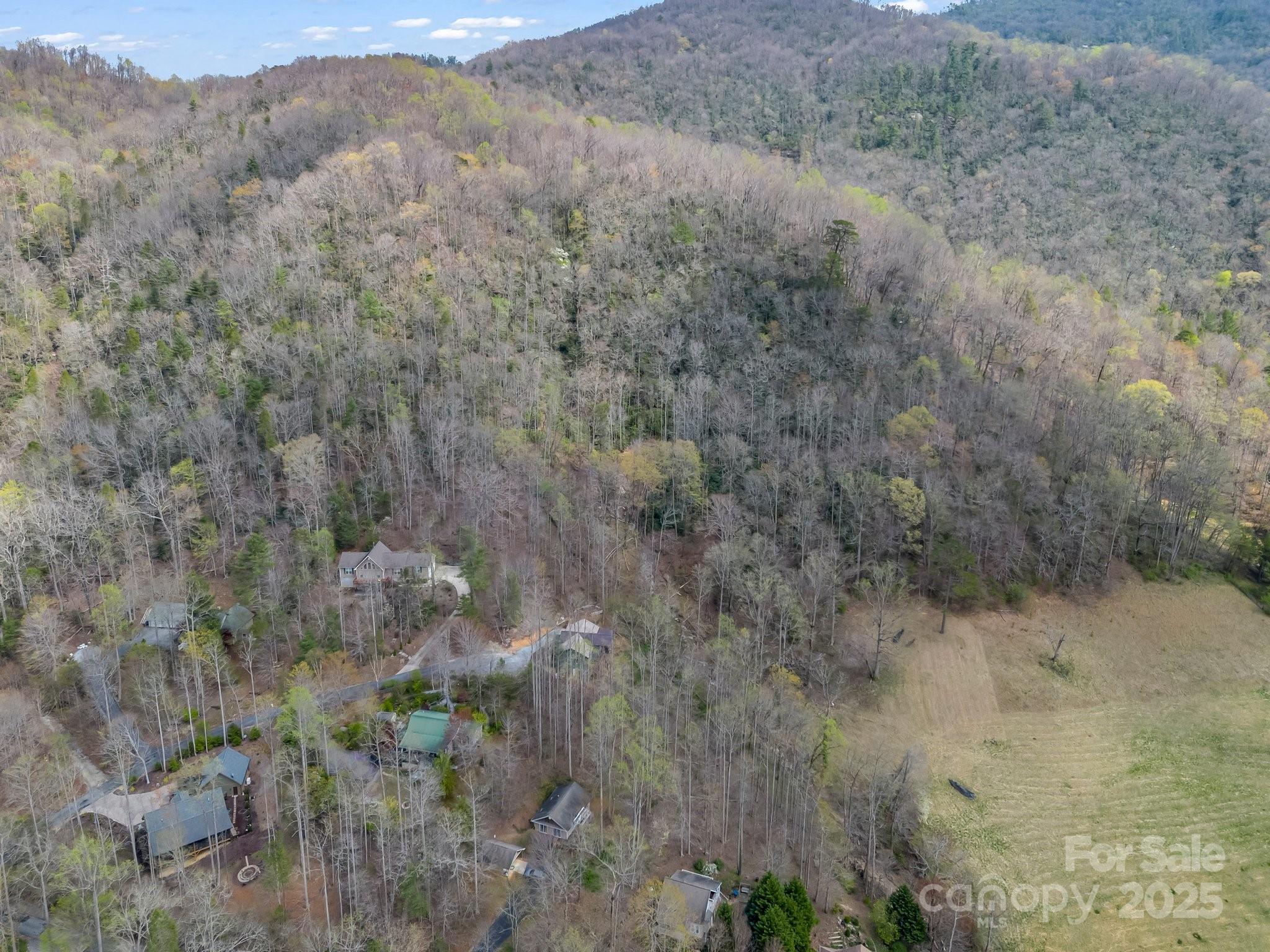 107 Twisted Birch Drive — Hendersonville