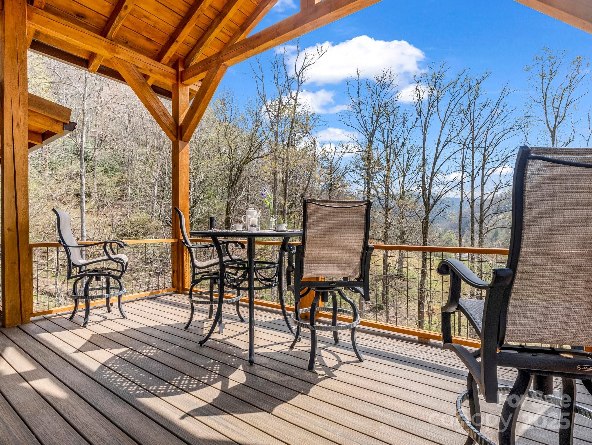 107 Twisted Birch Drive — Hendersonville
