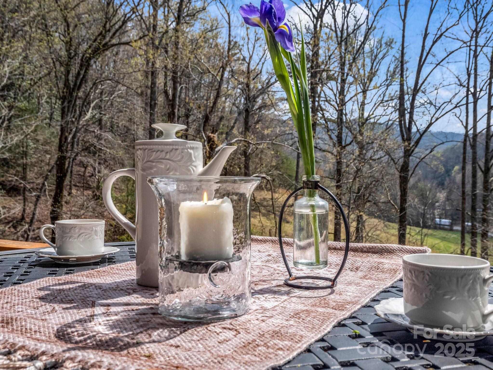107 Twisted Birch Drive — Hendersonville