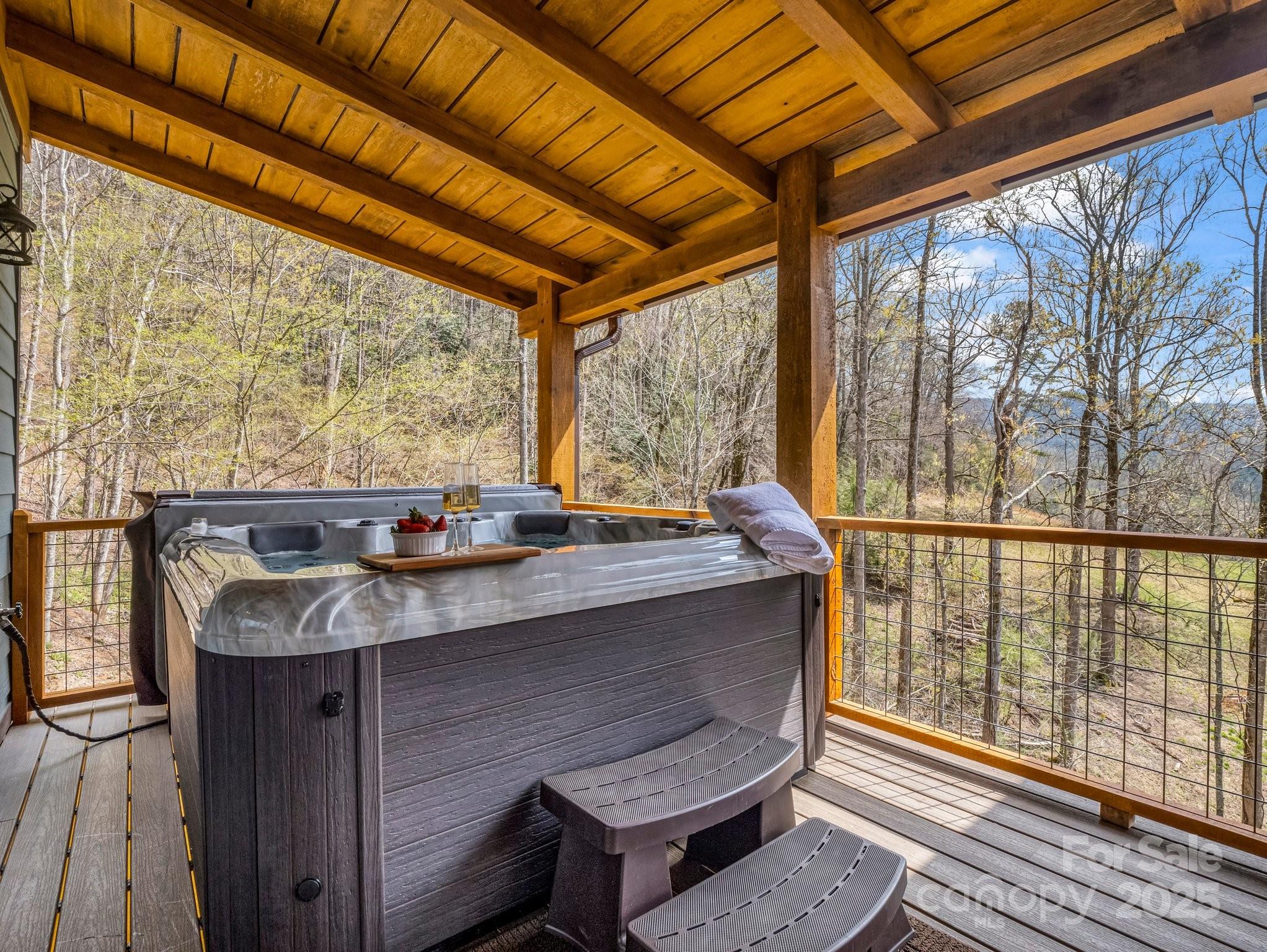 107 Twisted Birch Drive — Hendersonville